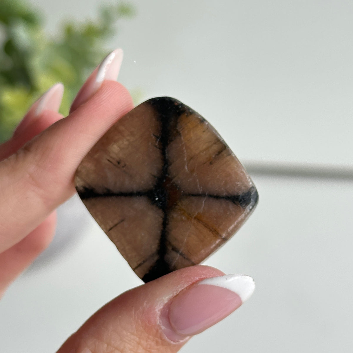 Chiastolite Pce 13.79g