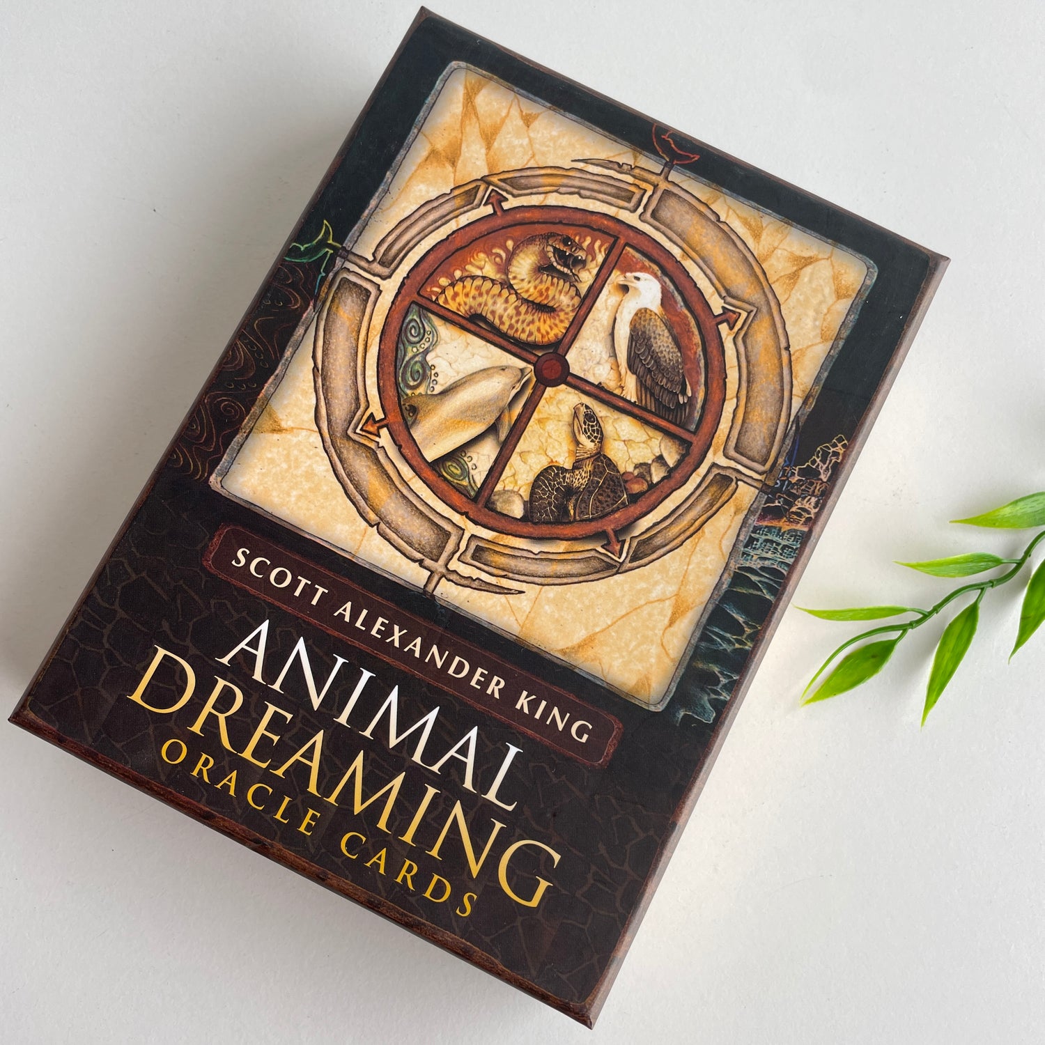 Animal Dreaming Oracle Cards Scott King
