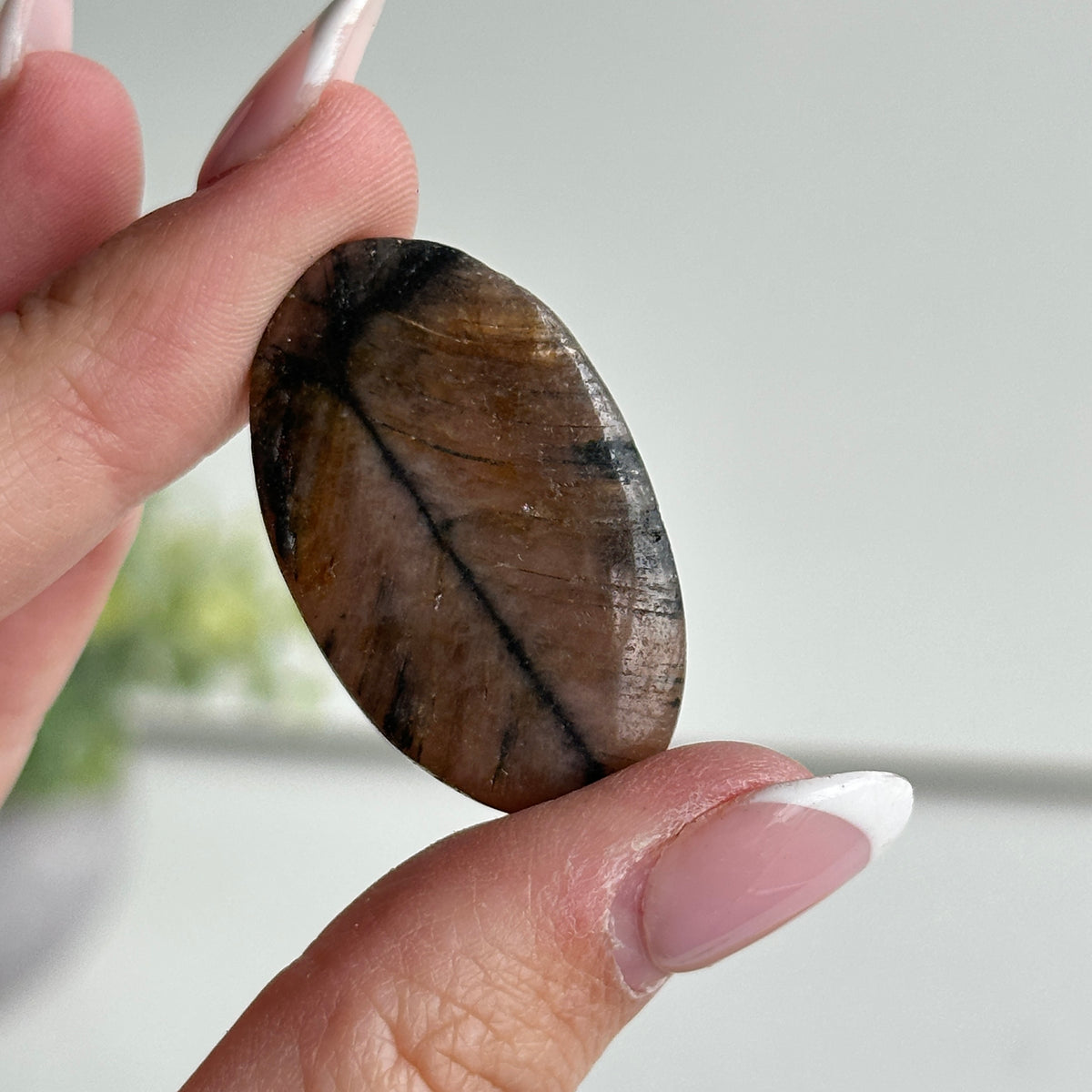 Chiastolite Pce 8.74g