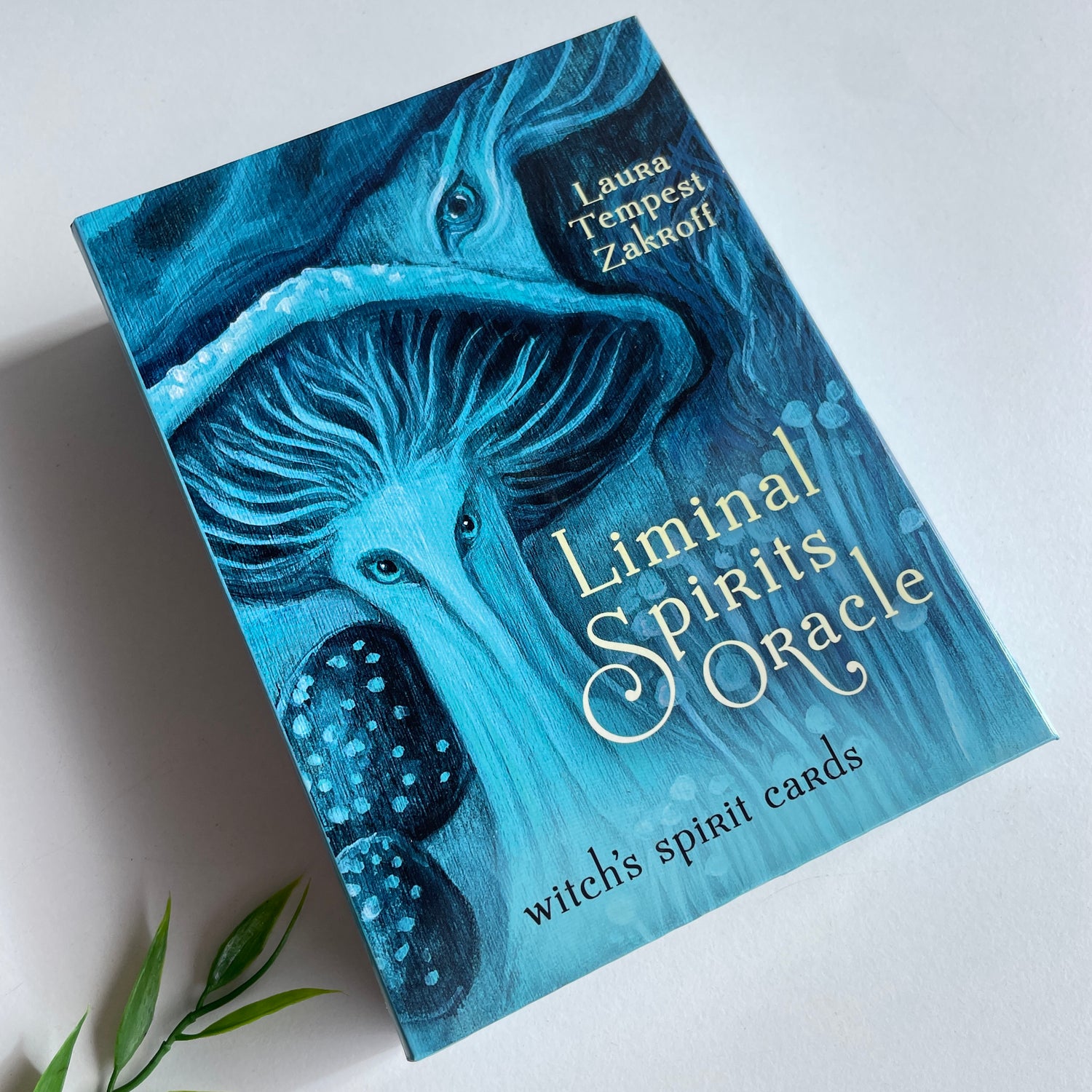 Liminal Spirits Oracle Cards Laura Tempest Zakroff