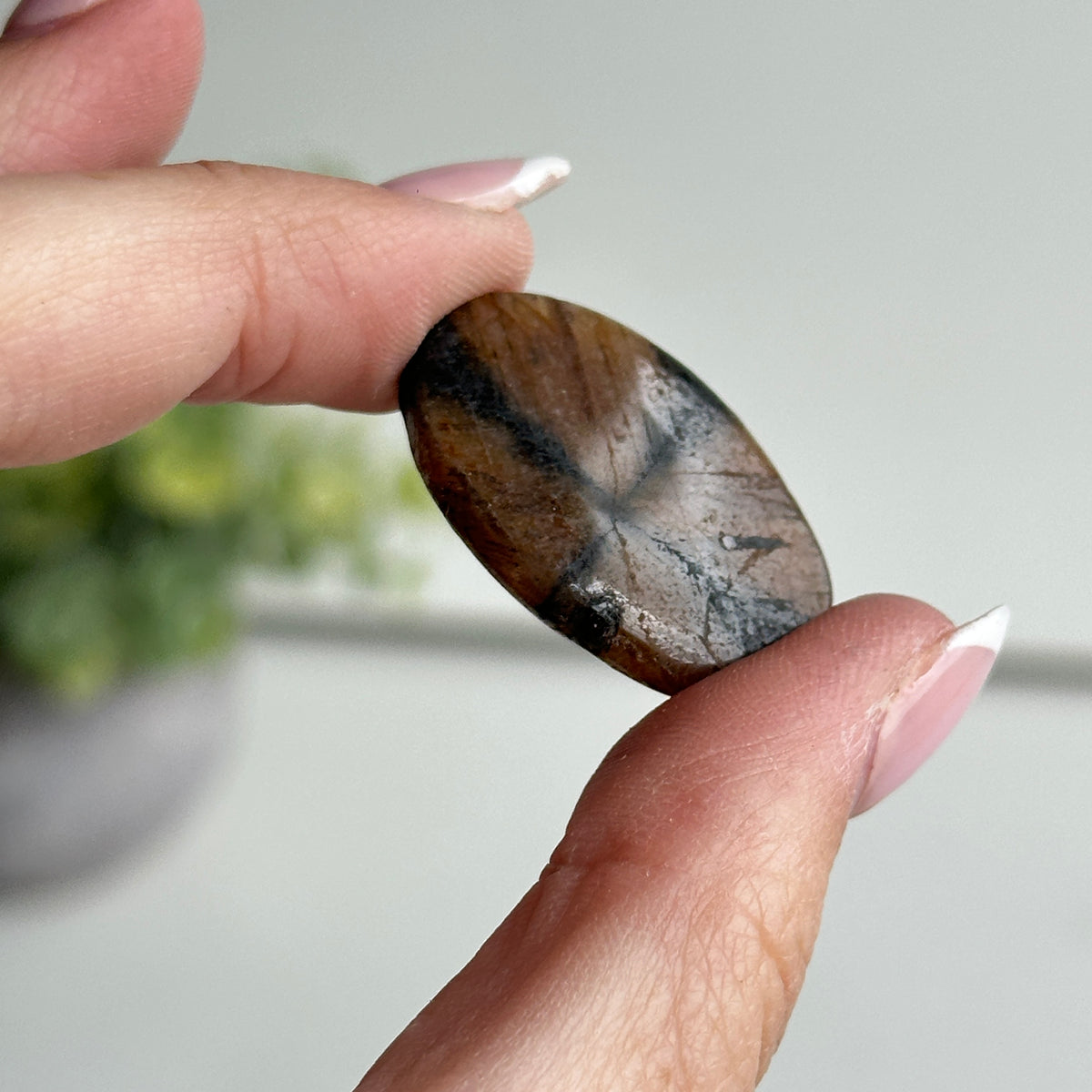 Chiastolite Pce 7.09g