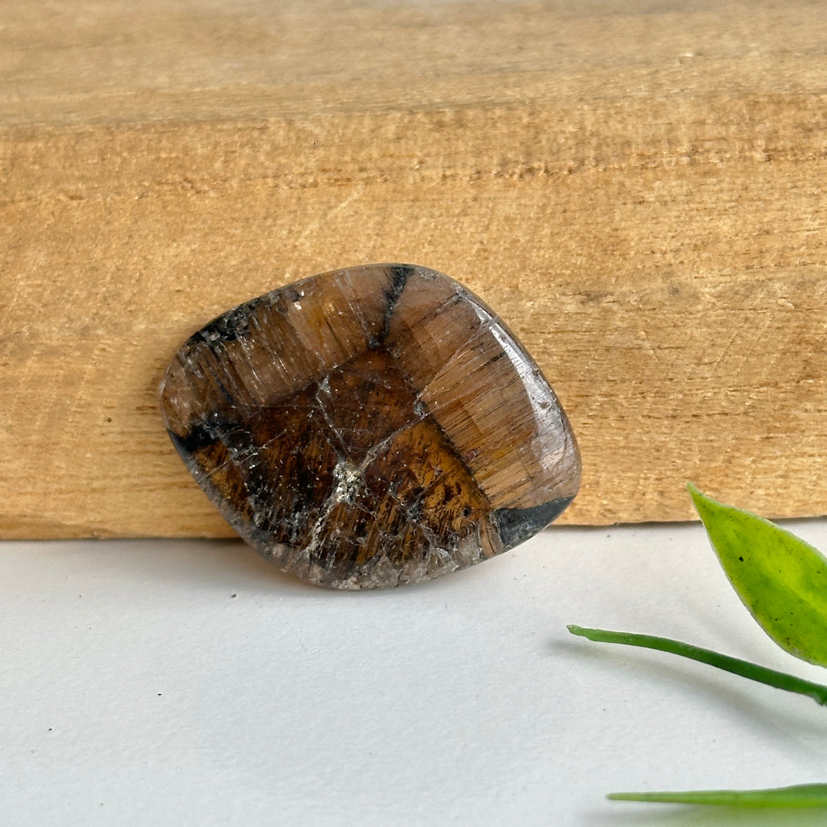 Chiastolite Pce 8.71g