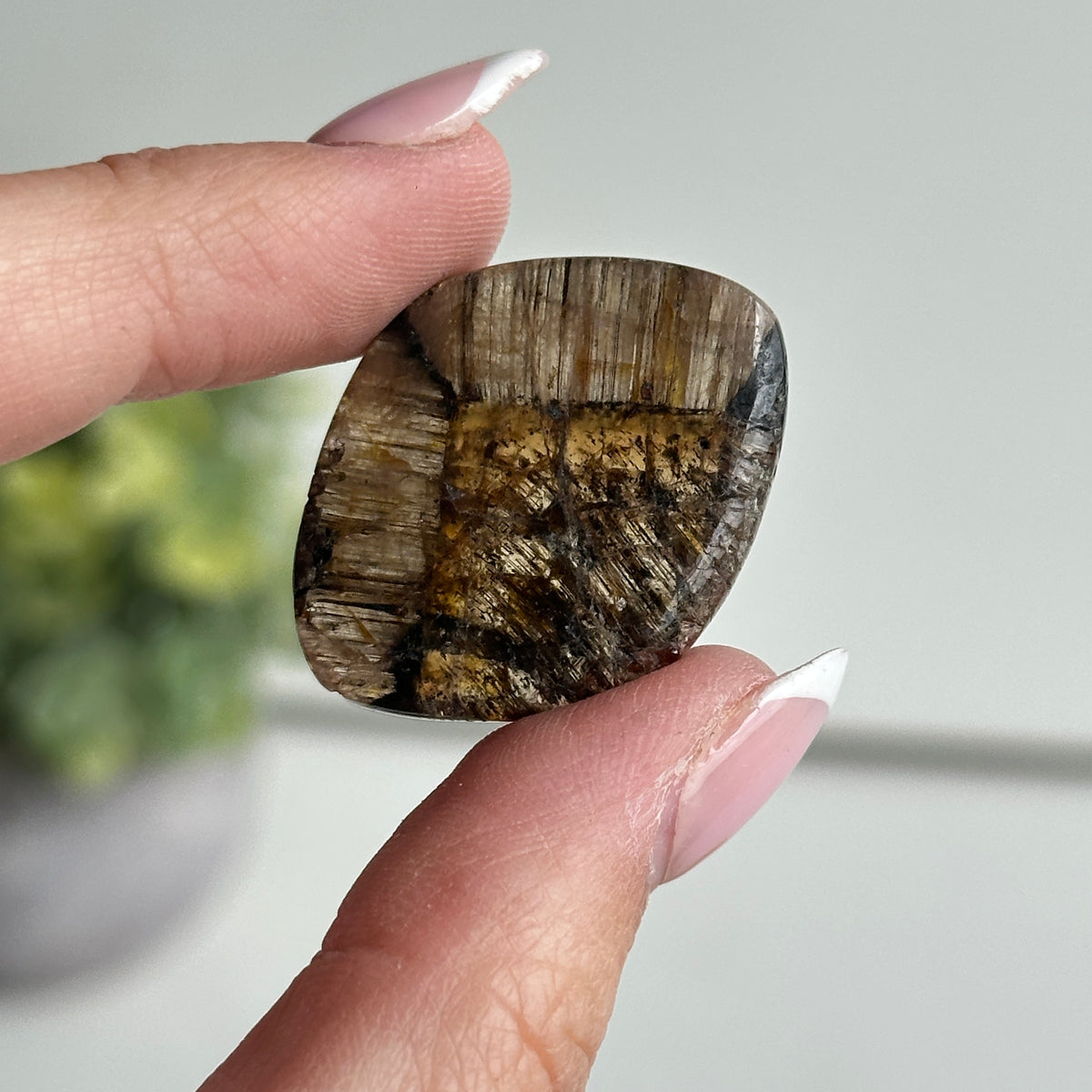 Chiastolite Pce 8.71g