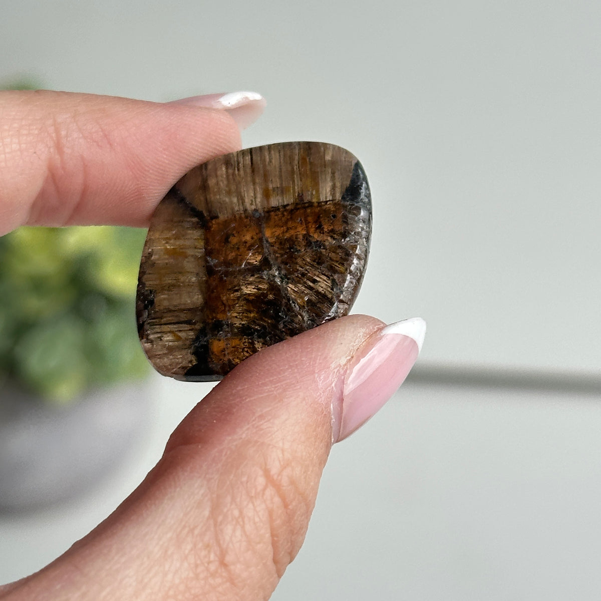 Chiastolite Pce 8.71g