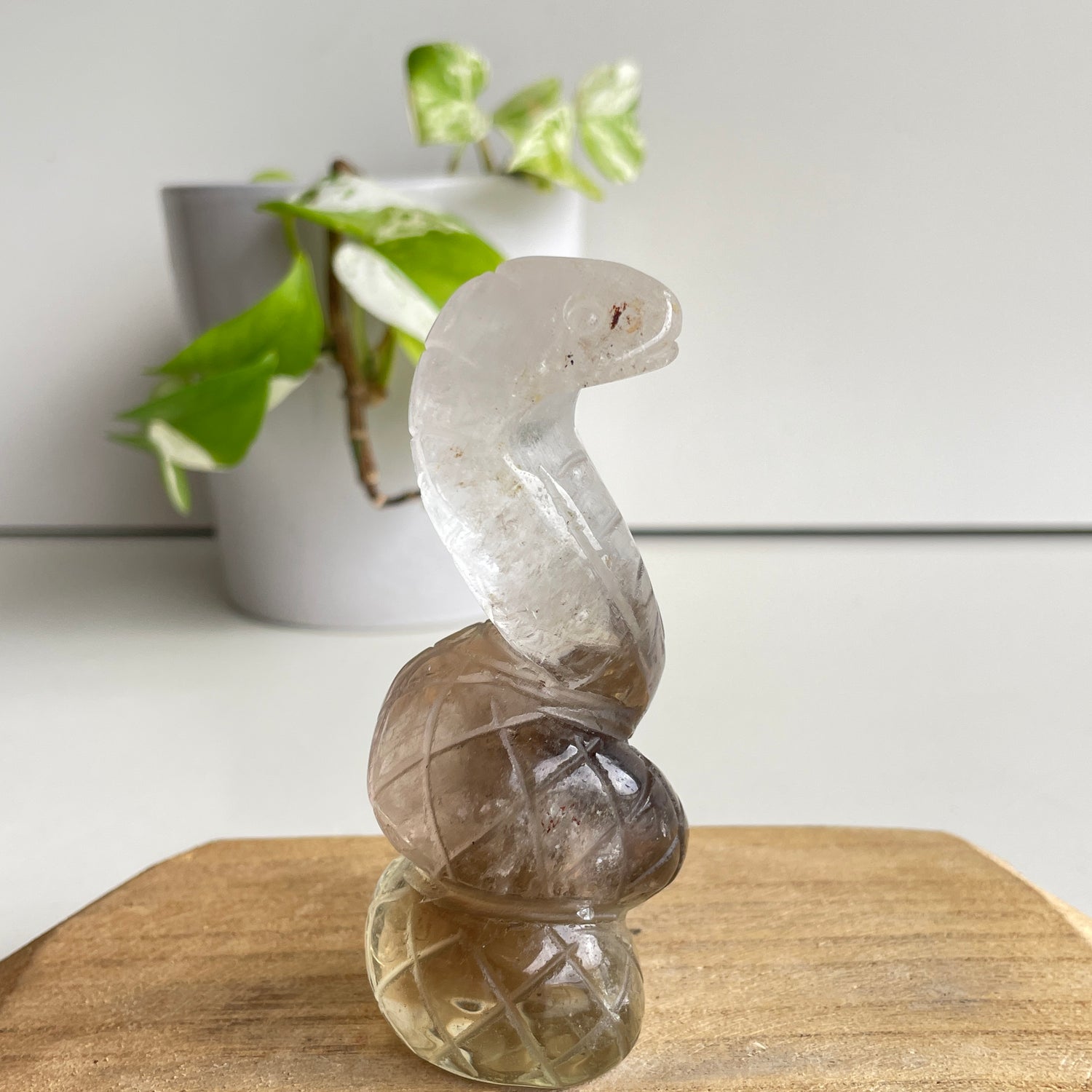 Smoky Citrine Cobra 10cm