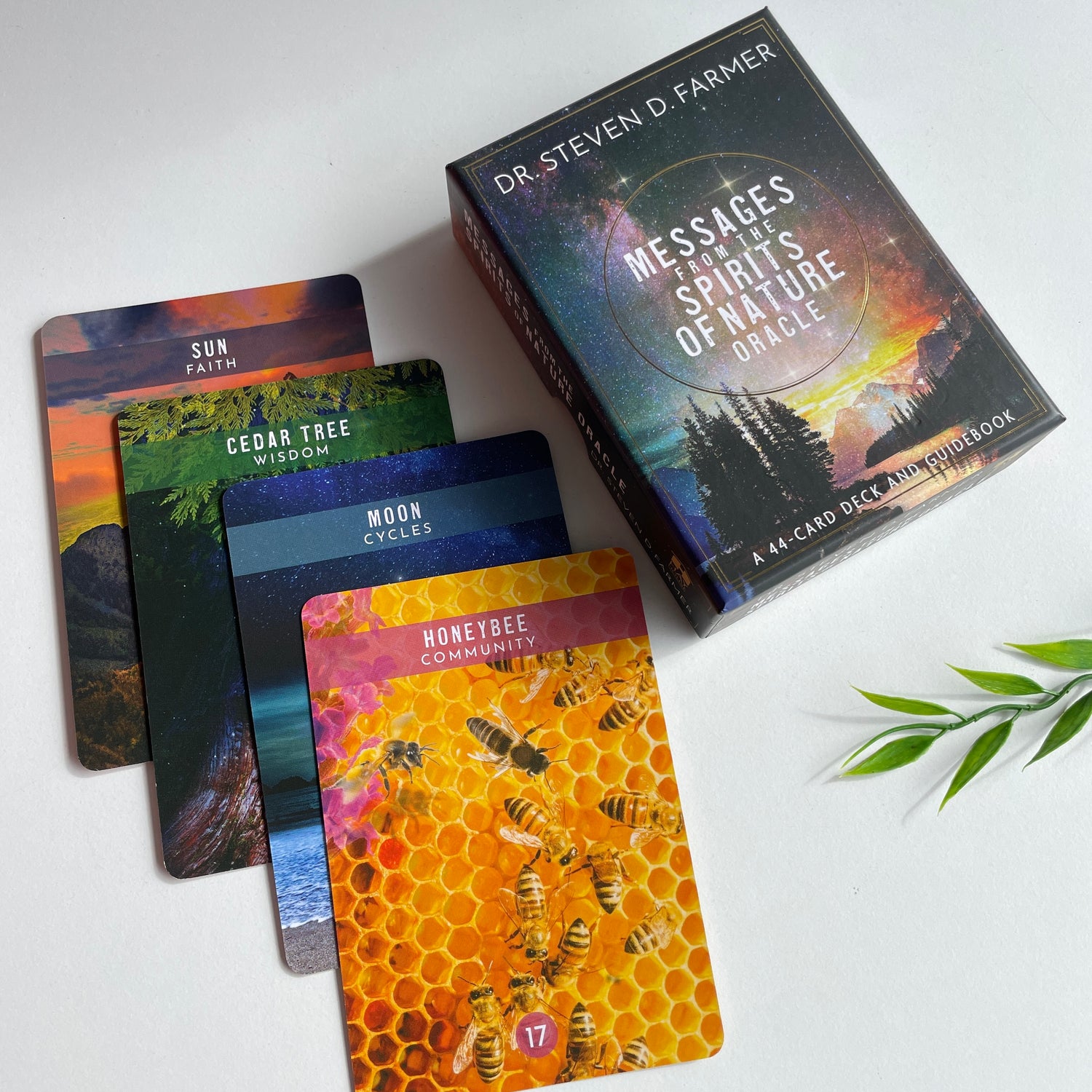 Messages From The Spirits Of Nature Oracle Cards Steven Farmer