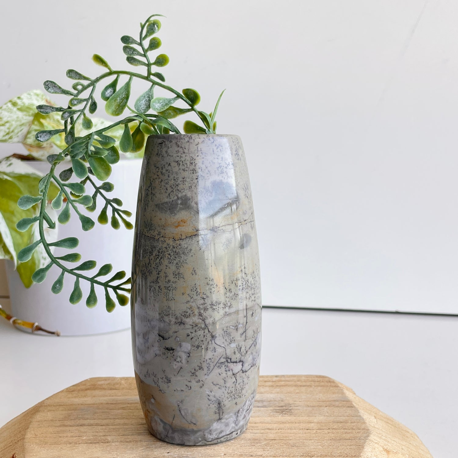 Picture Jasper Vase 17