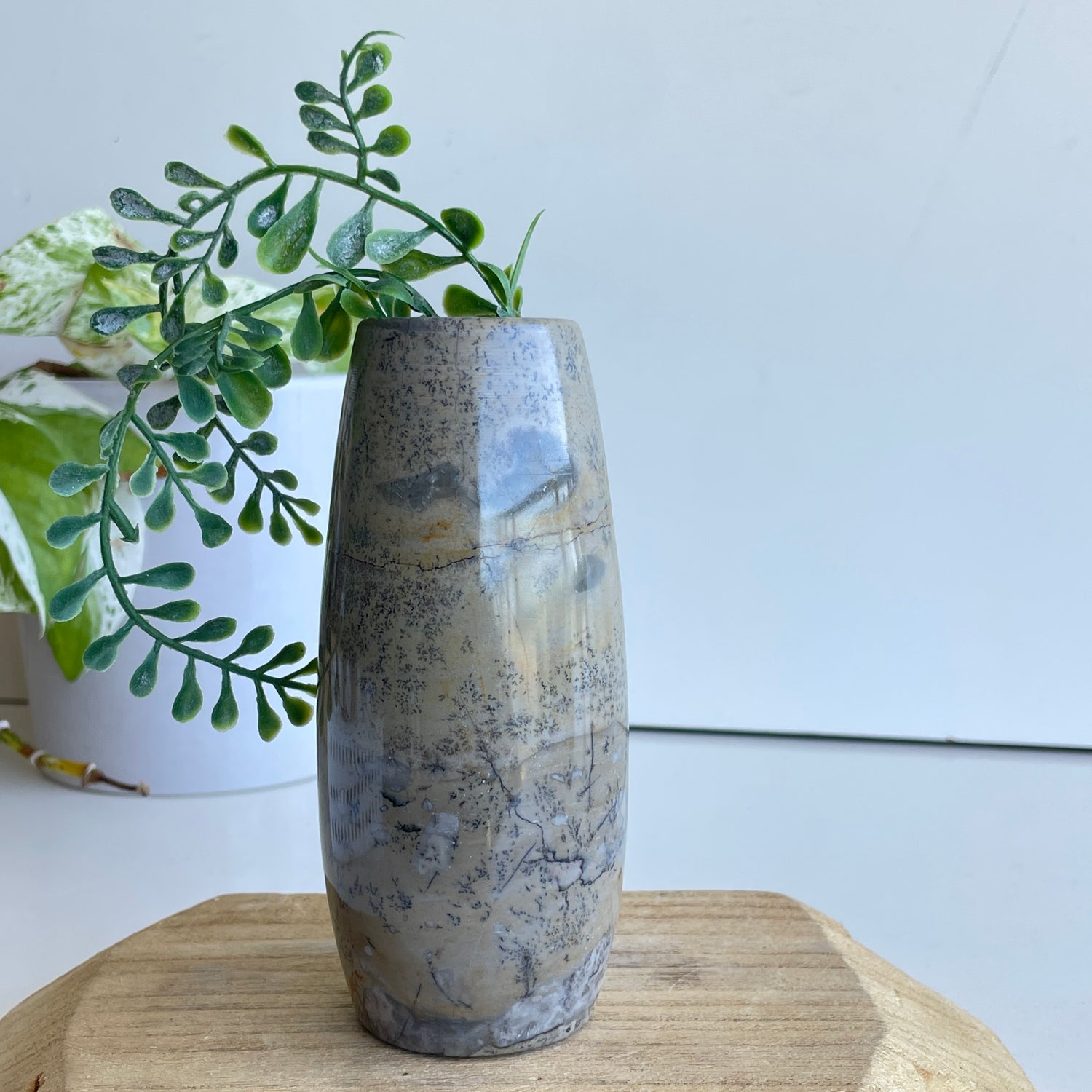 Picture Jasper Vase 17