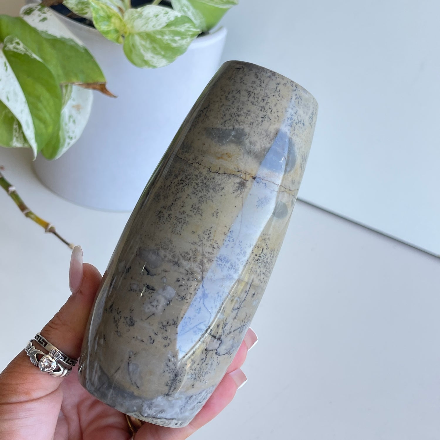 Picture Jasper Vase 17