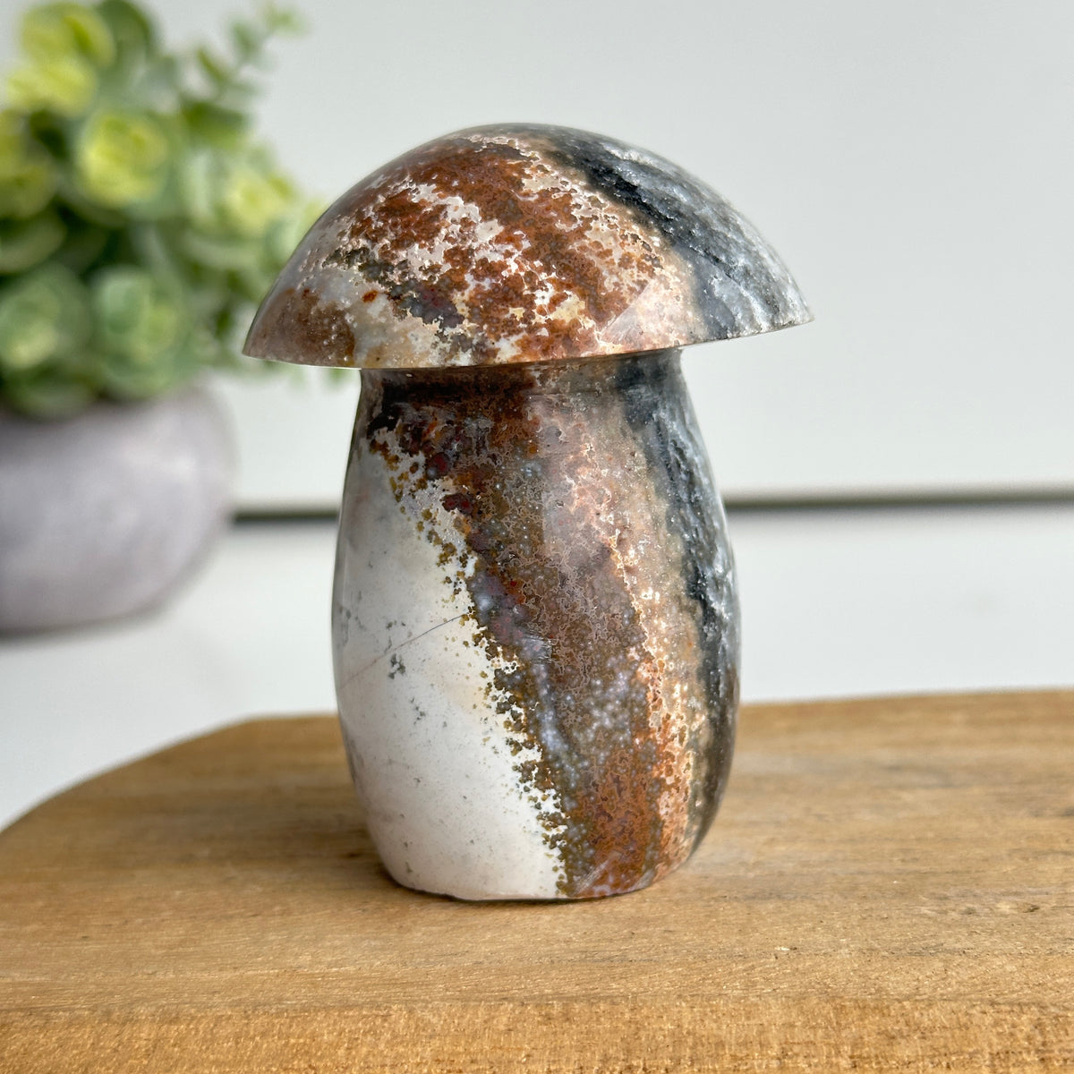 Ocean Jasper Mushroom 7.7cm