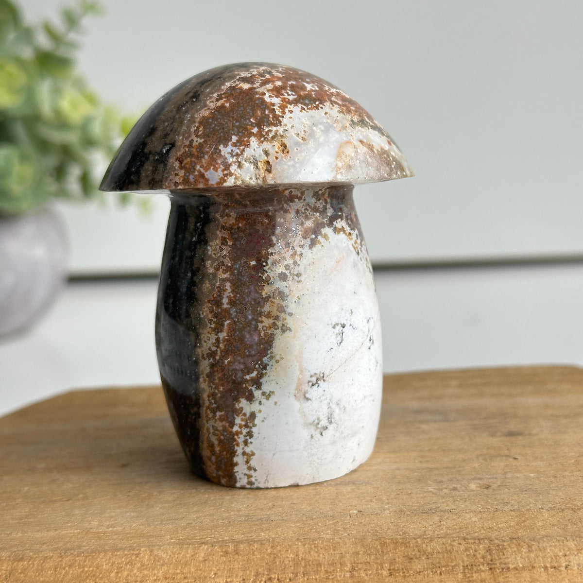 Ocean Jasper Mushroom 7.7cm
