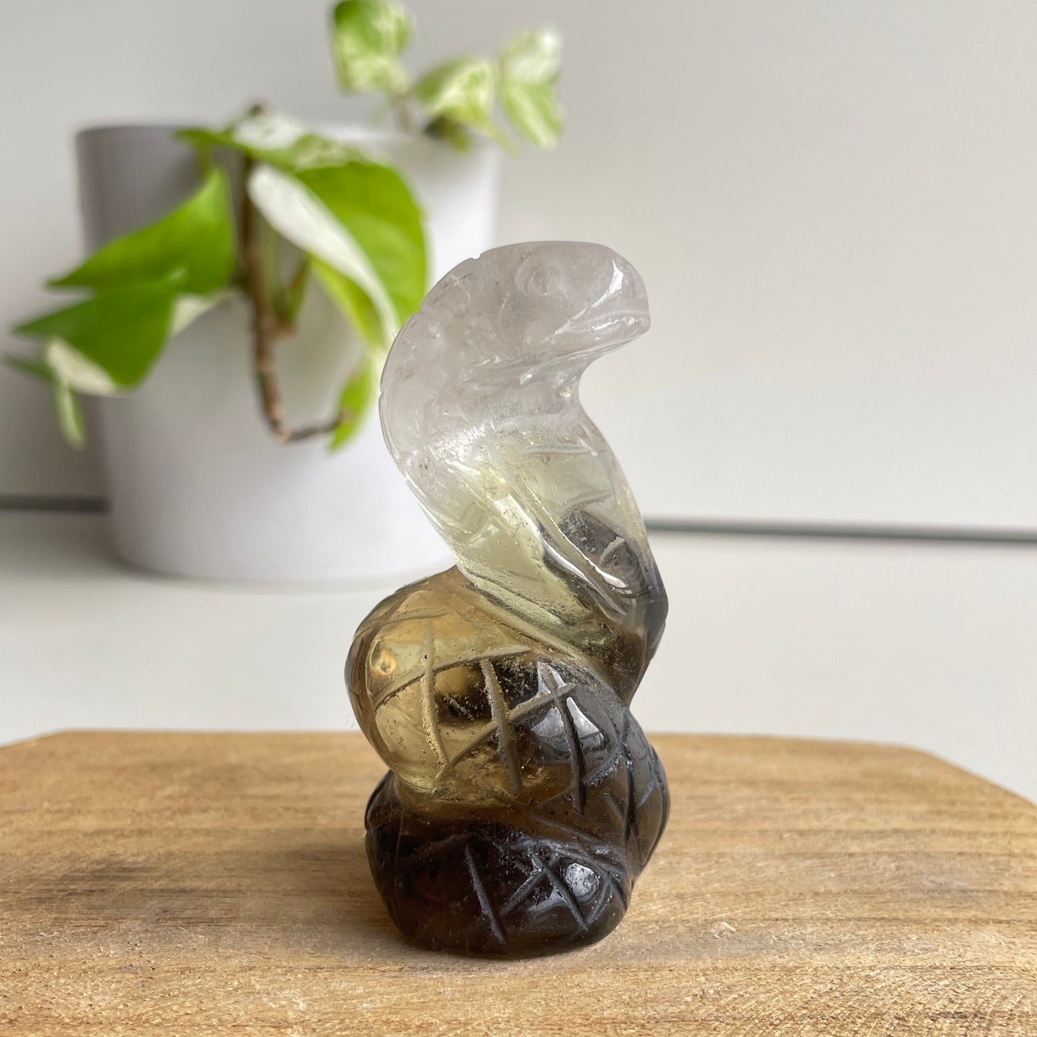 Smoky Citrine Cobra 7cm