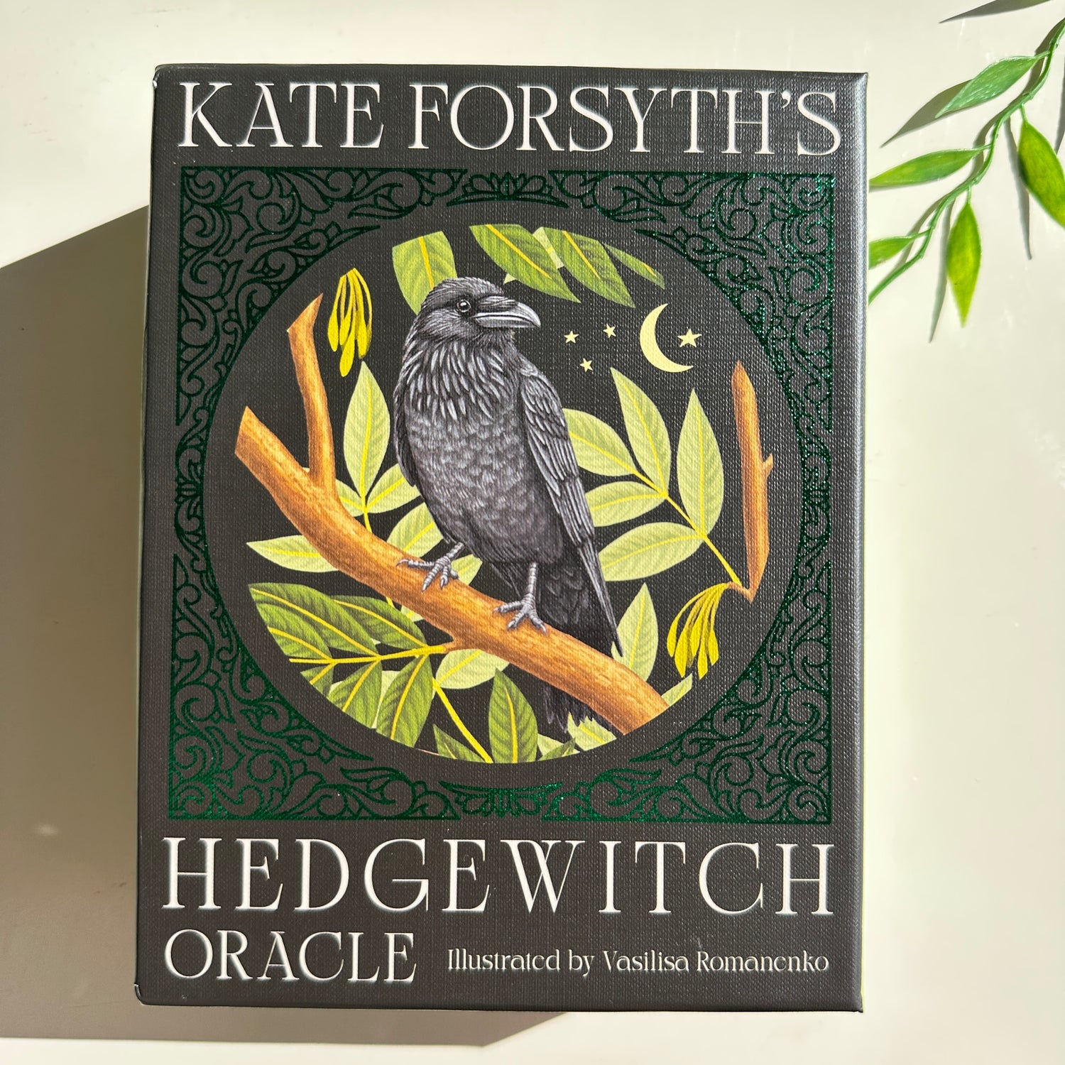 Kate Forsyths Hedgewitch Oracle