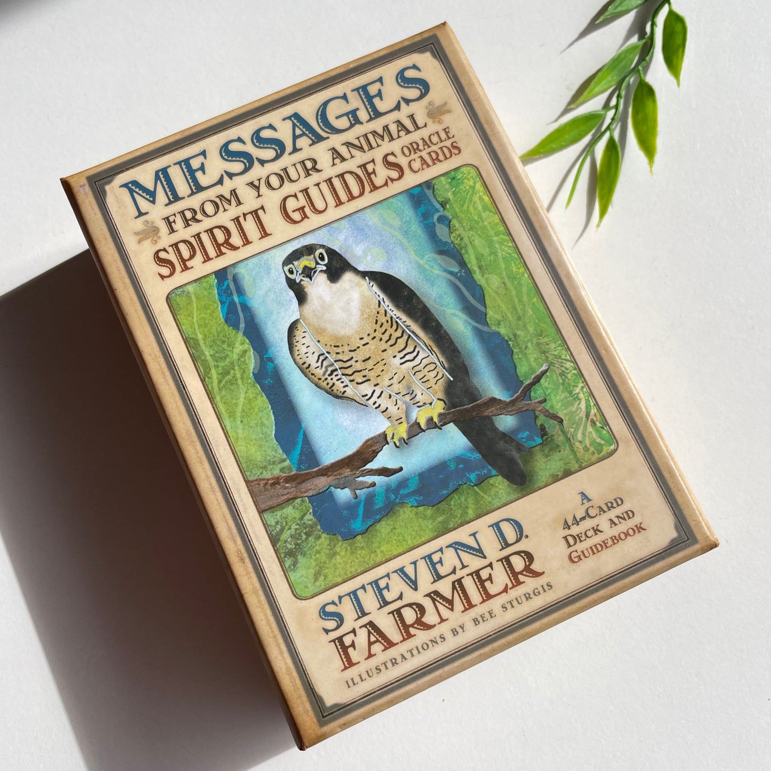 Messages from Your Animal Spirit Guides S Farmer
