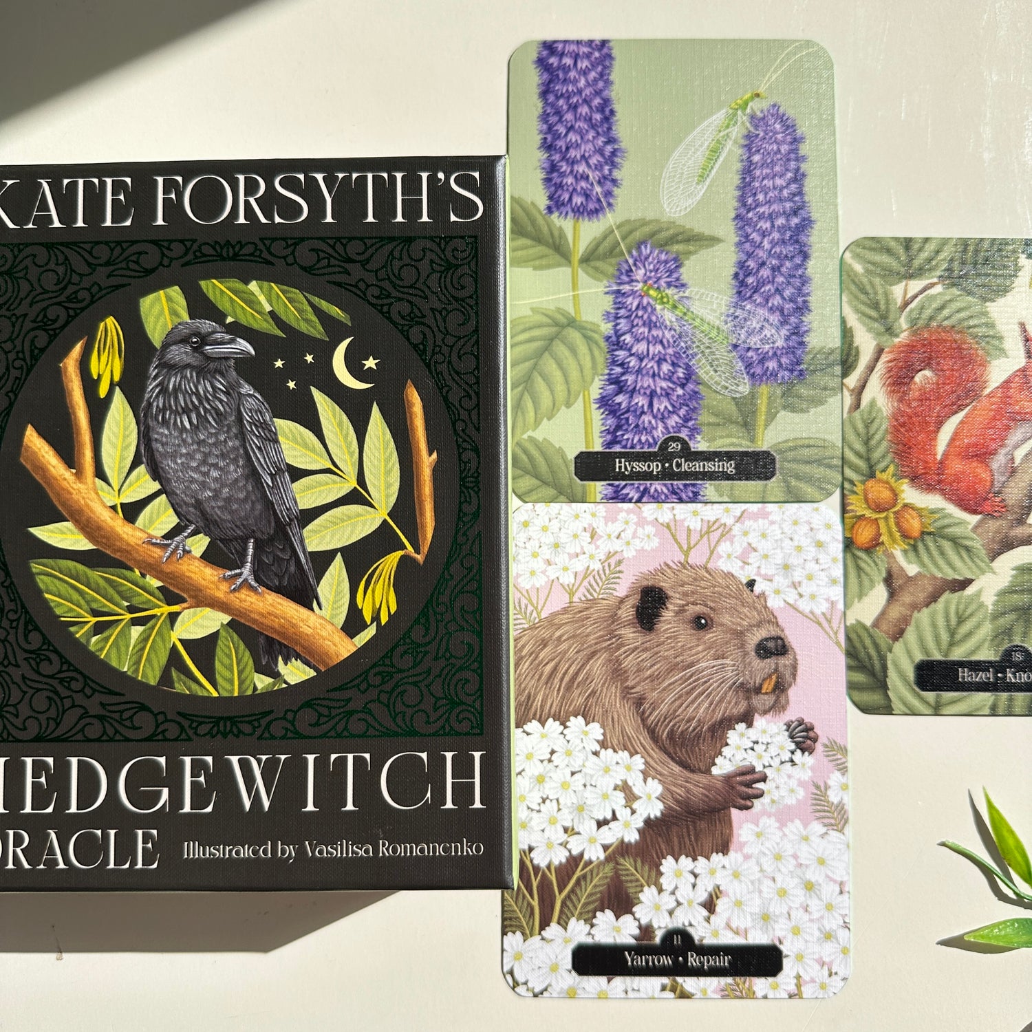 Kate Forsyths Hedgewitch Oracle