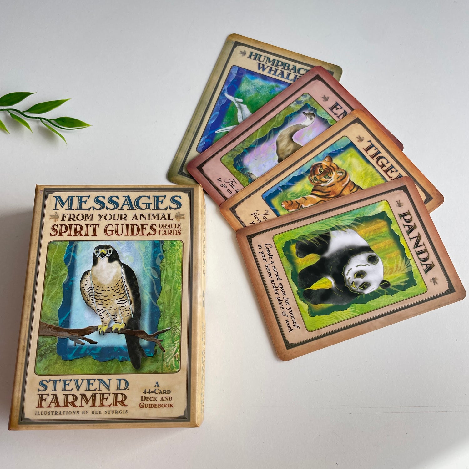 Messages from Your Animal Spirit Guides S Farmer