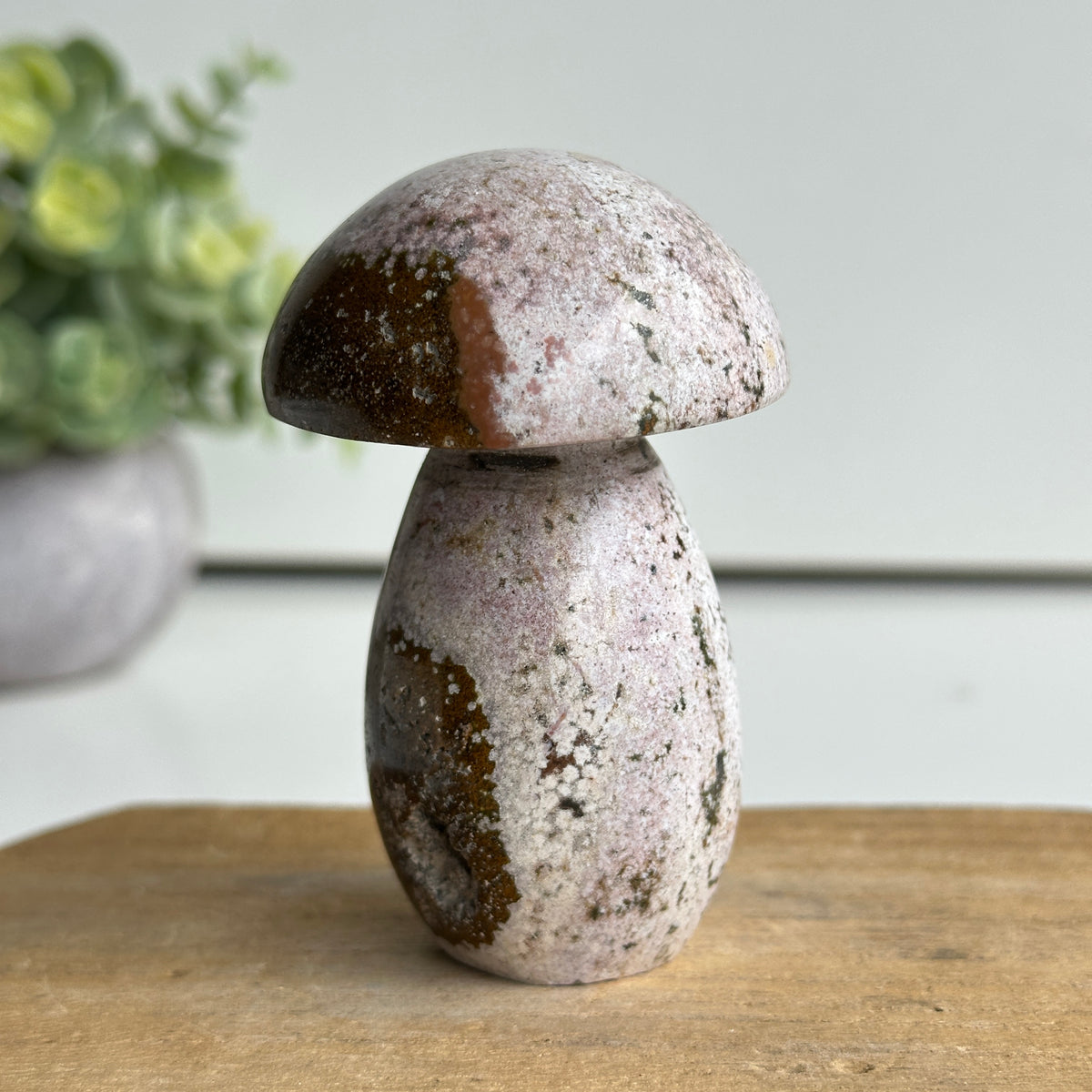 Ocean Jasper Mushroom 8.3cm