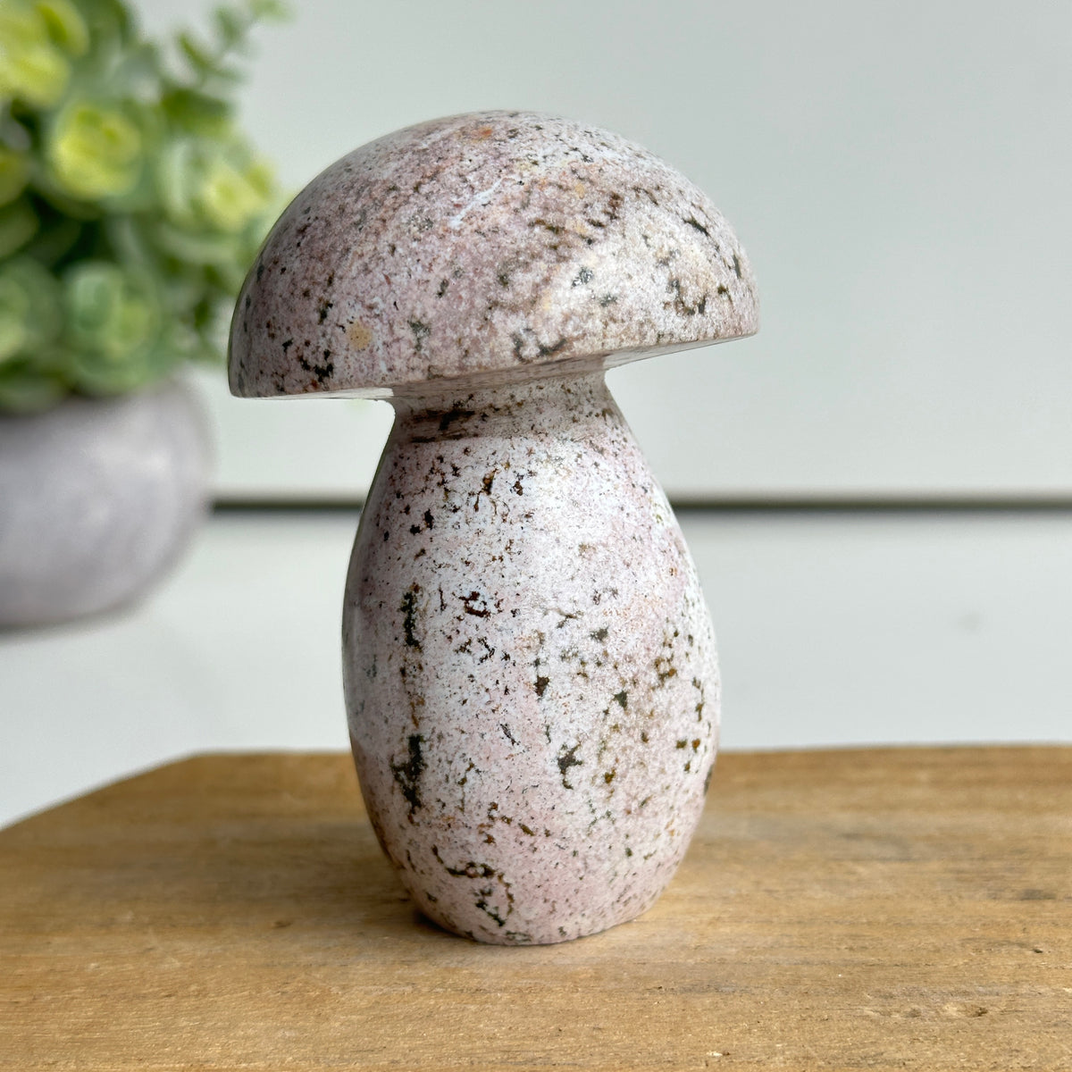Ocean Jasper Mushroom 8.3cm