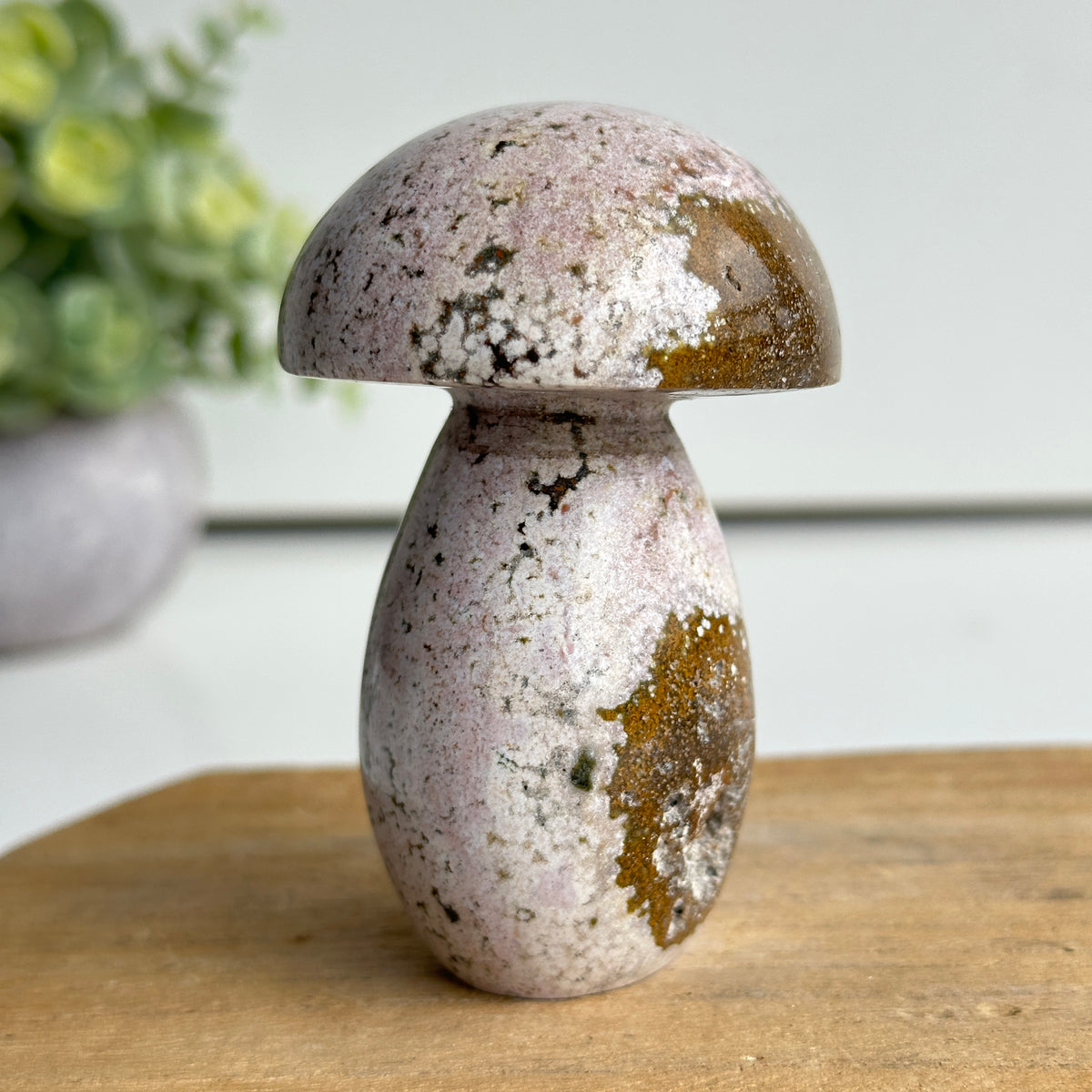 Ocean Jasper Mushroom 8.3cm