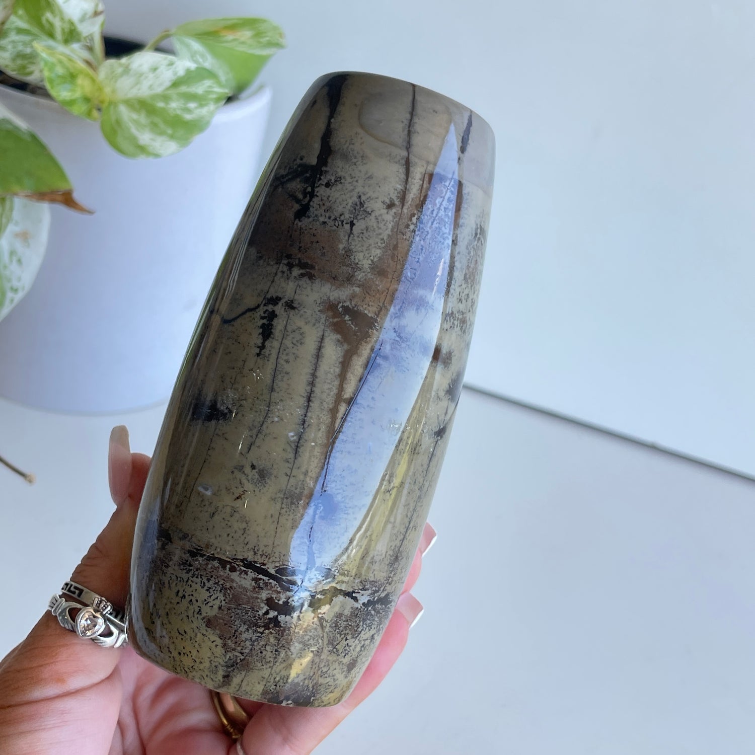 Picture Jasper Vase 18