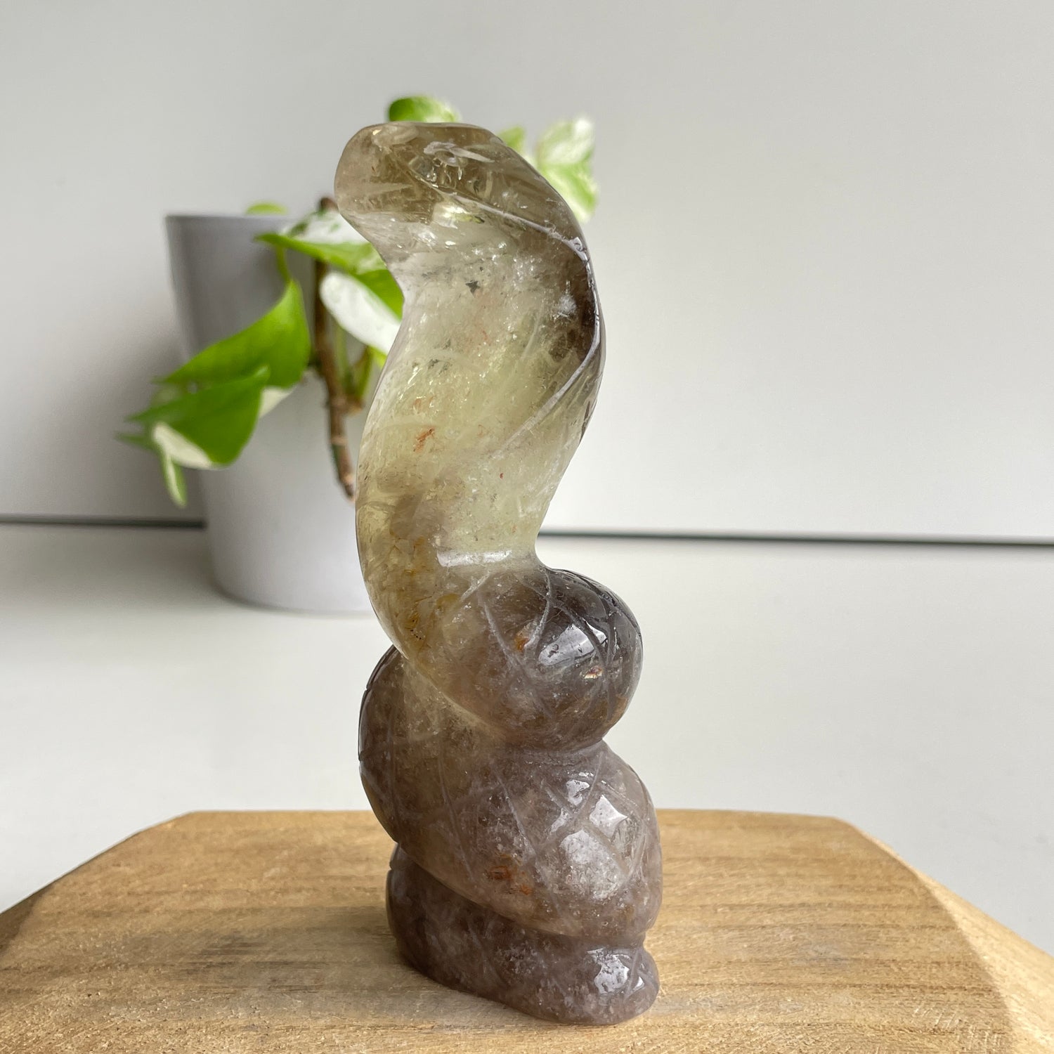Smoky Citrine Cobra 12.7cm