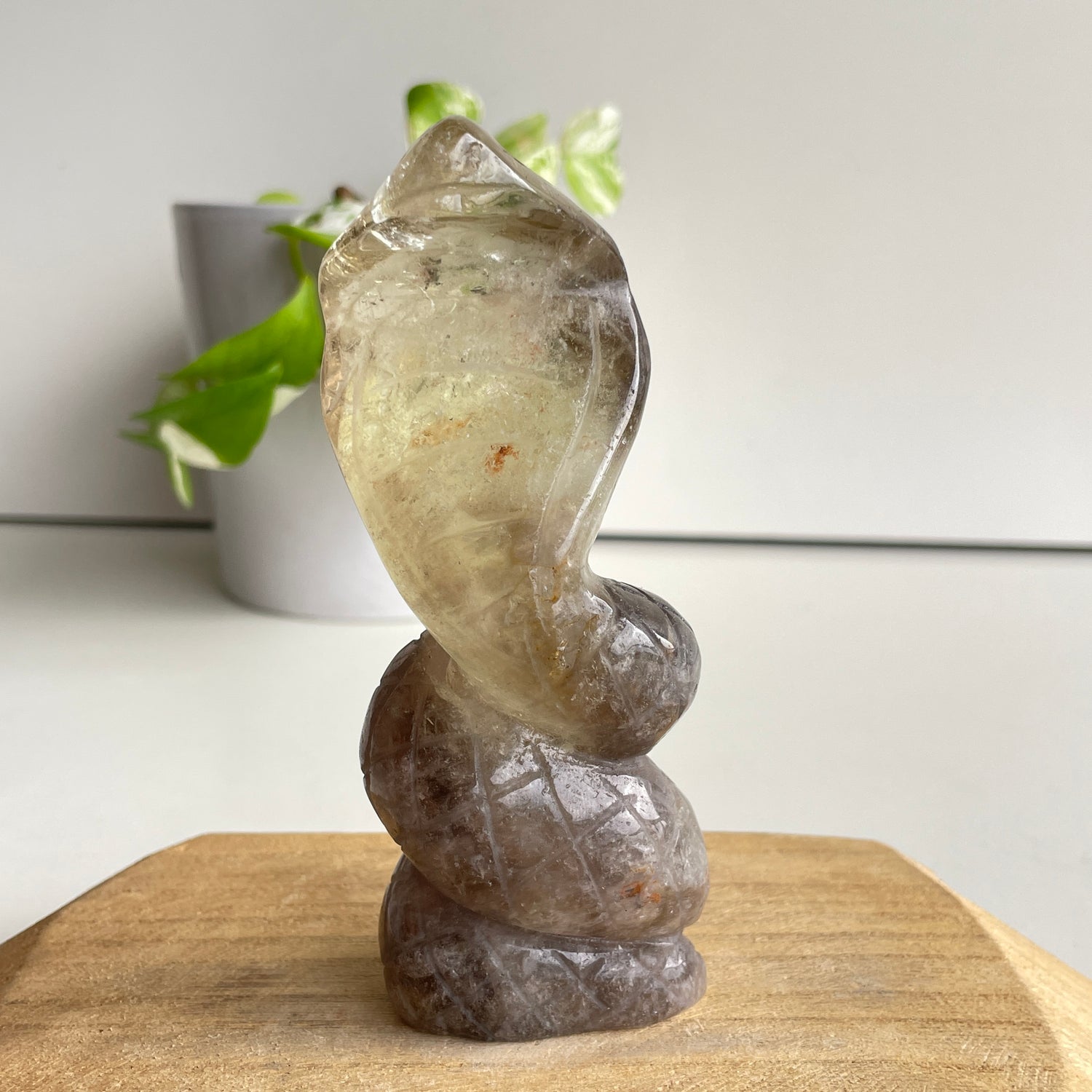 Smoky Citrine Cobra 12.7cm