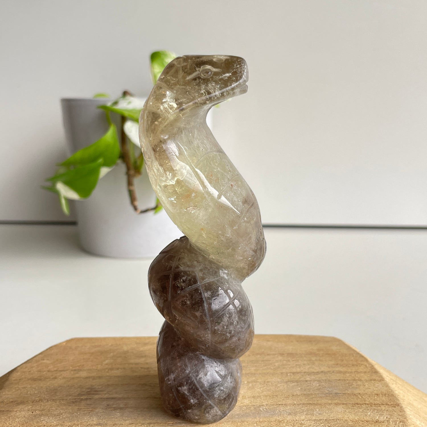 Smoky Citrine Cobra 12.7cm