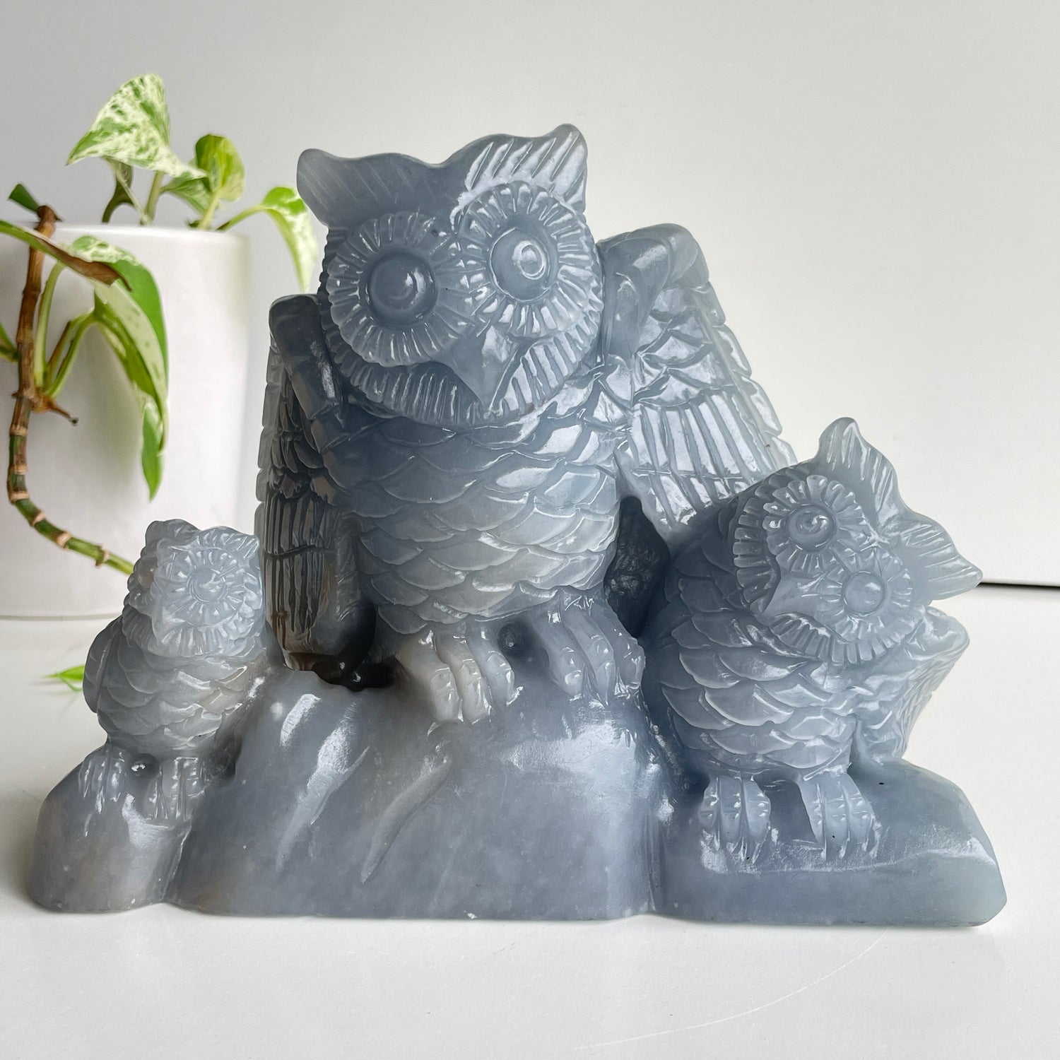 Angelite Owl Carving