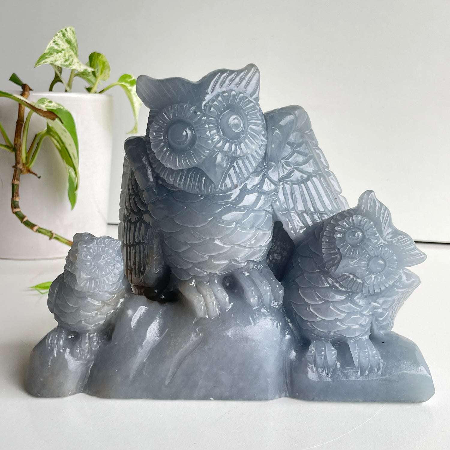 Angelite Owl Carving