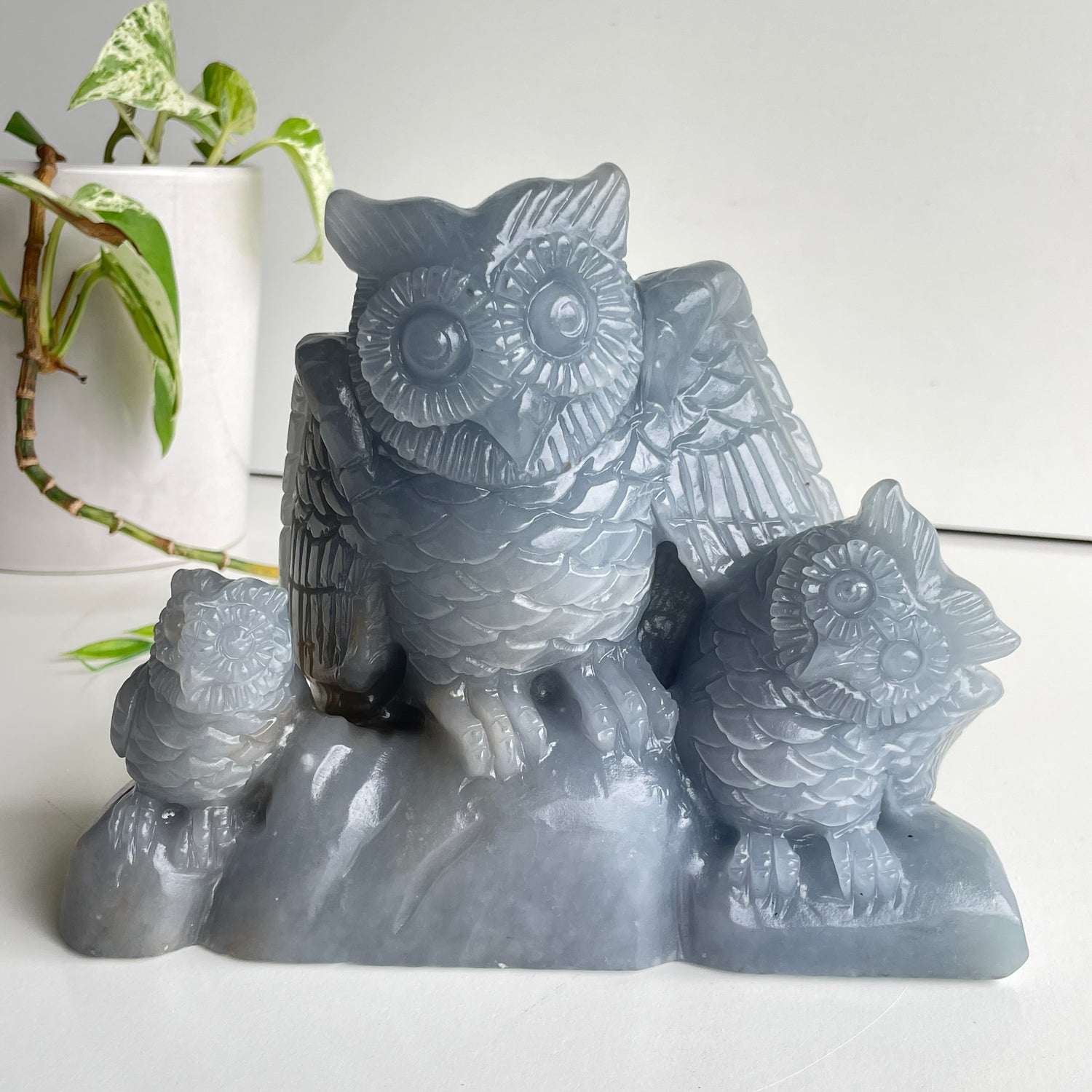 Angelite Owl Carving