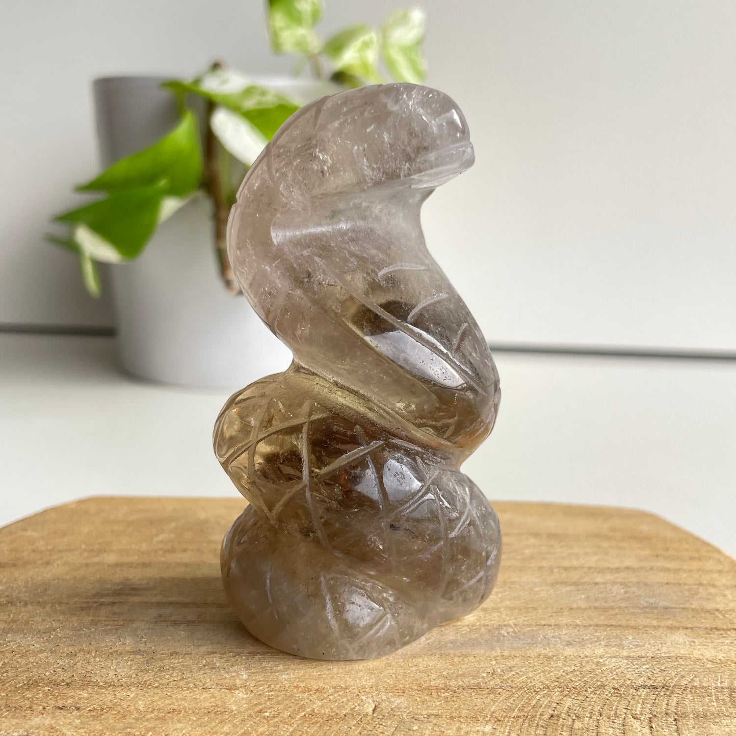 Smoky Citrine Cobra 8.8cm