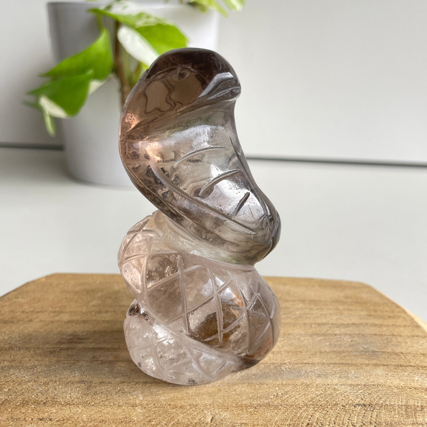 Smoky Quartz Cobra 9.3cm