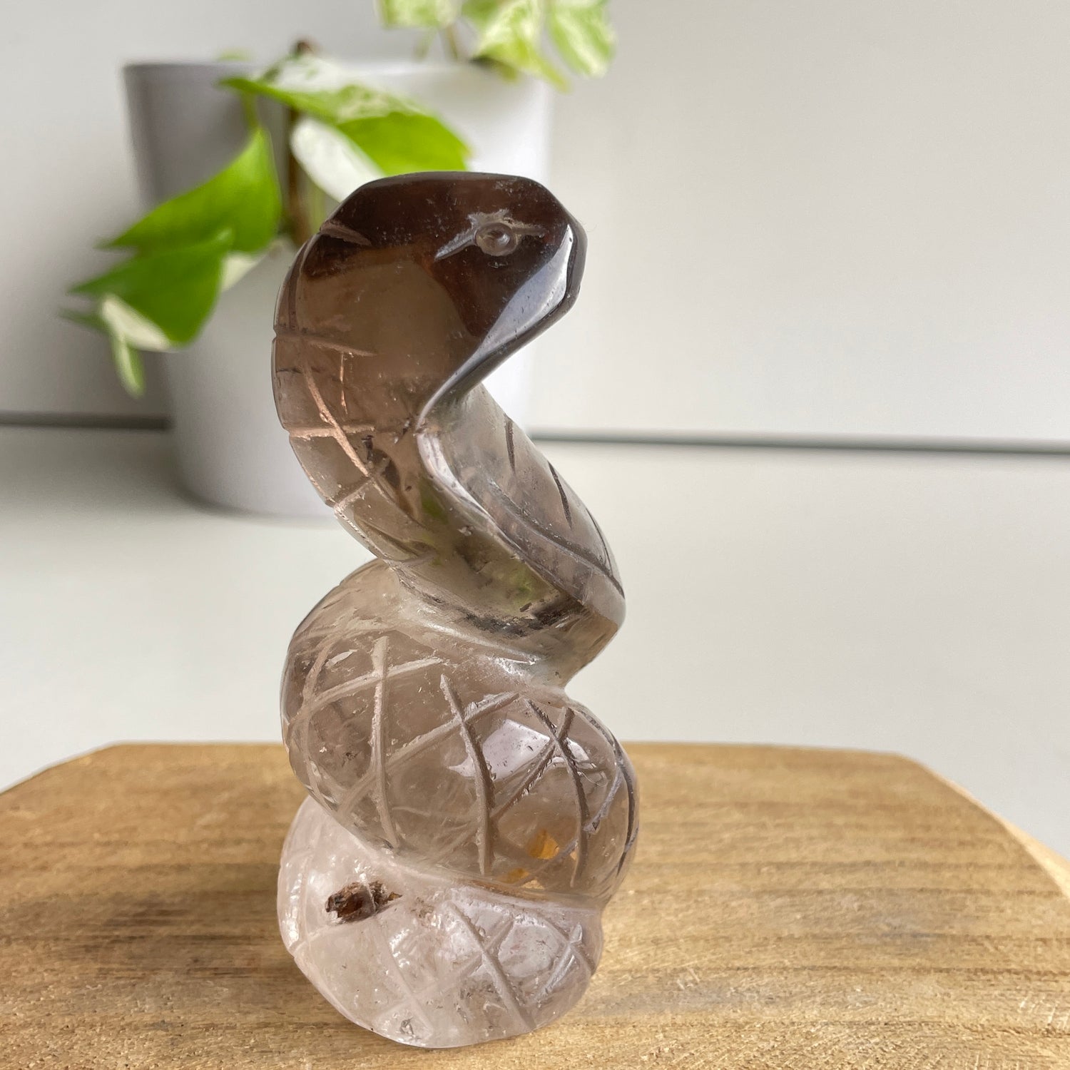 Smoky Quartz Cobra 9.3cm