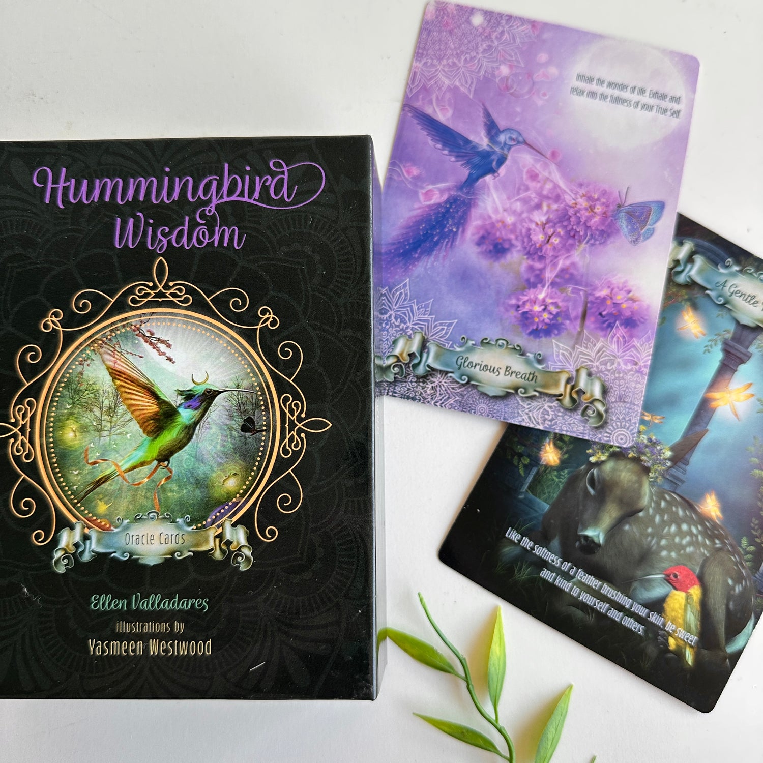 Hummingbird Wisdom Oracle Cards Ellen Valladares