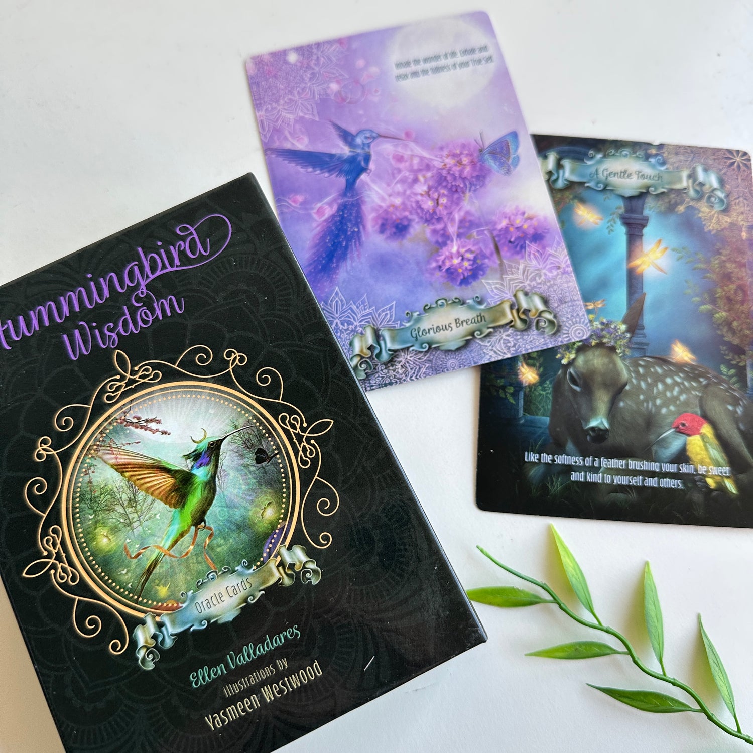 Hummingbird Wisdom Oracle Cards Ellen Valladares