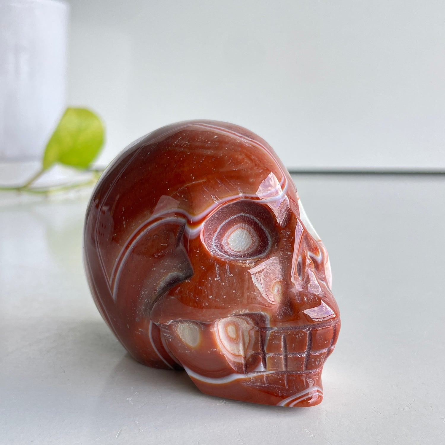 Carnelian Skull 8.4cm