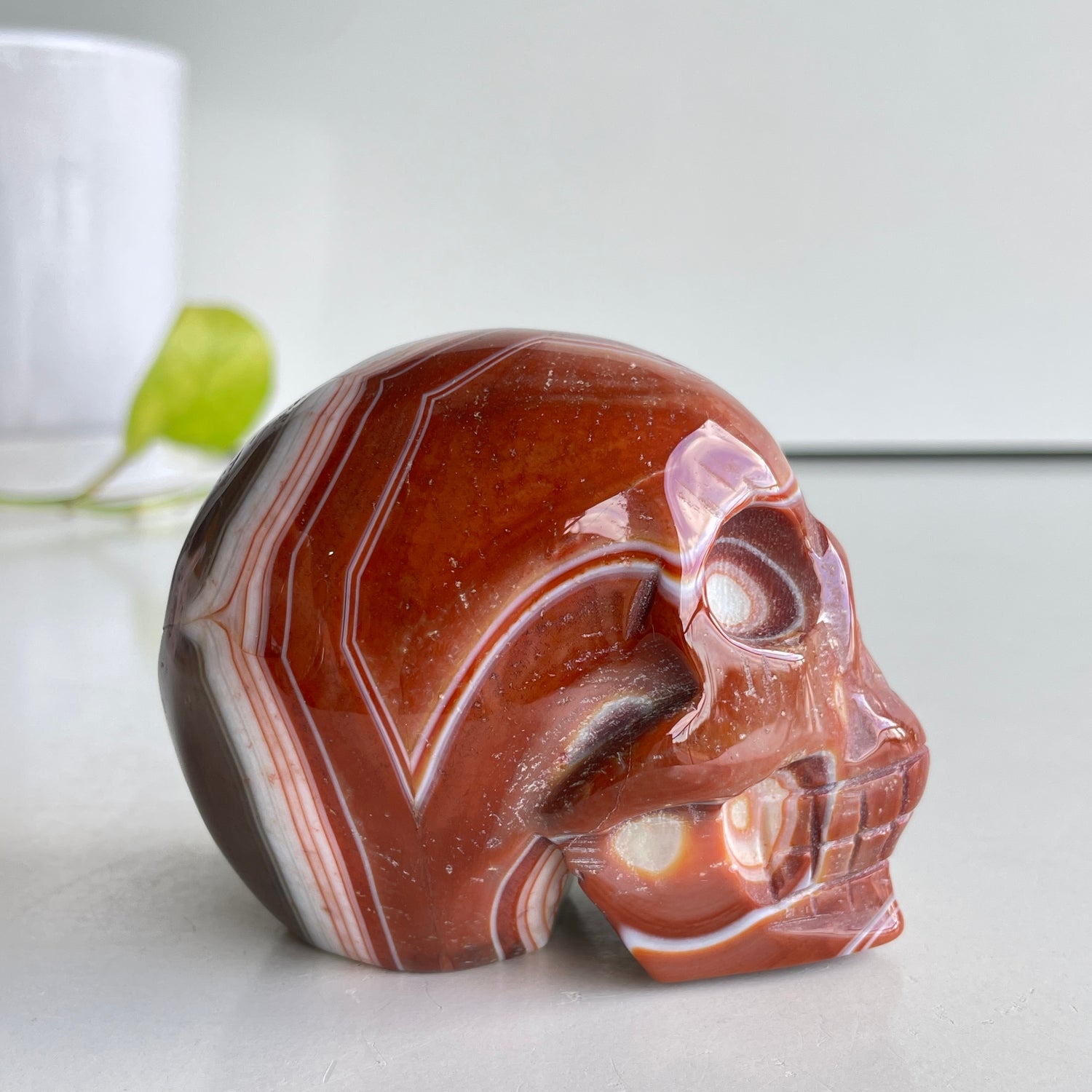 Carnelian Skull 8.4cm