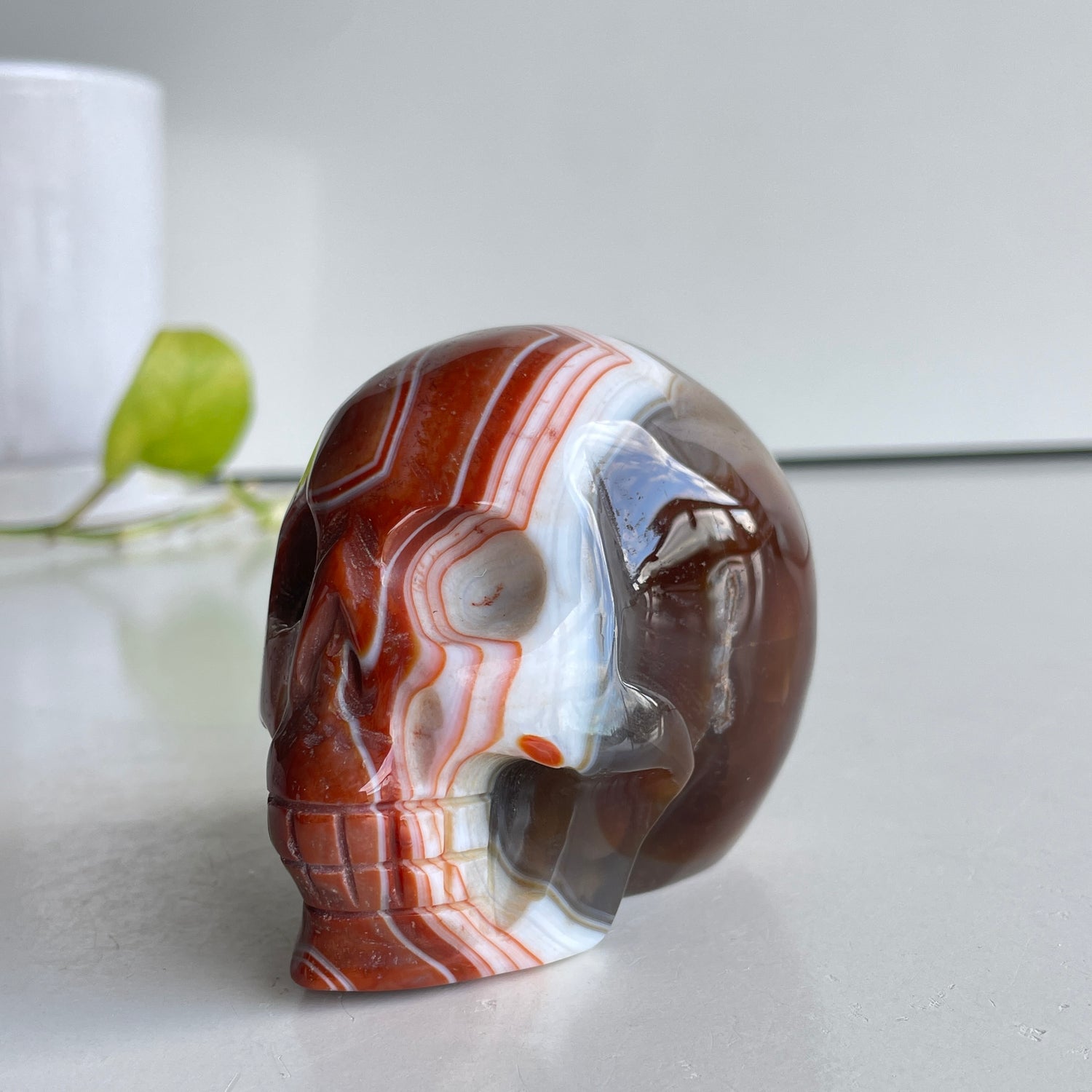 Carnelian Skull 8.4cm