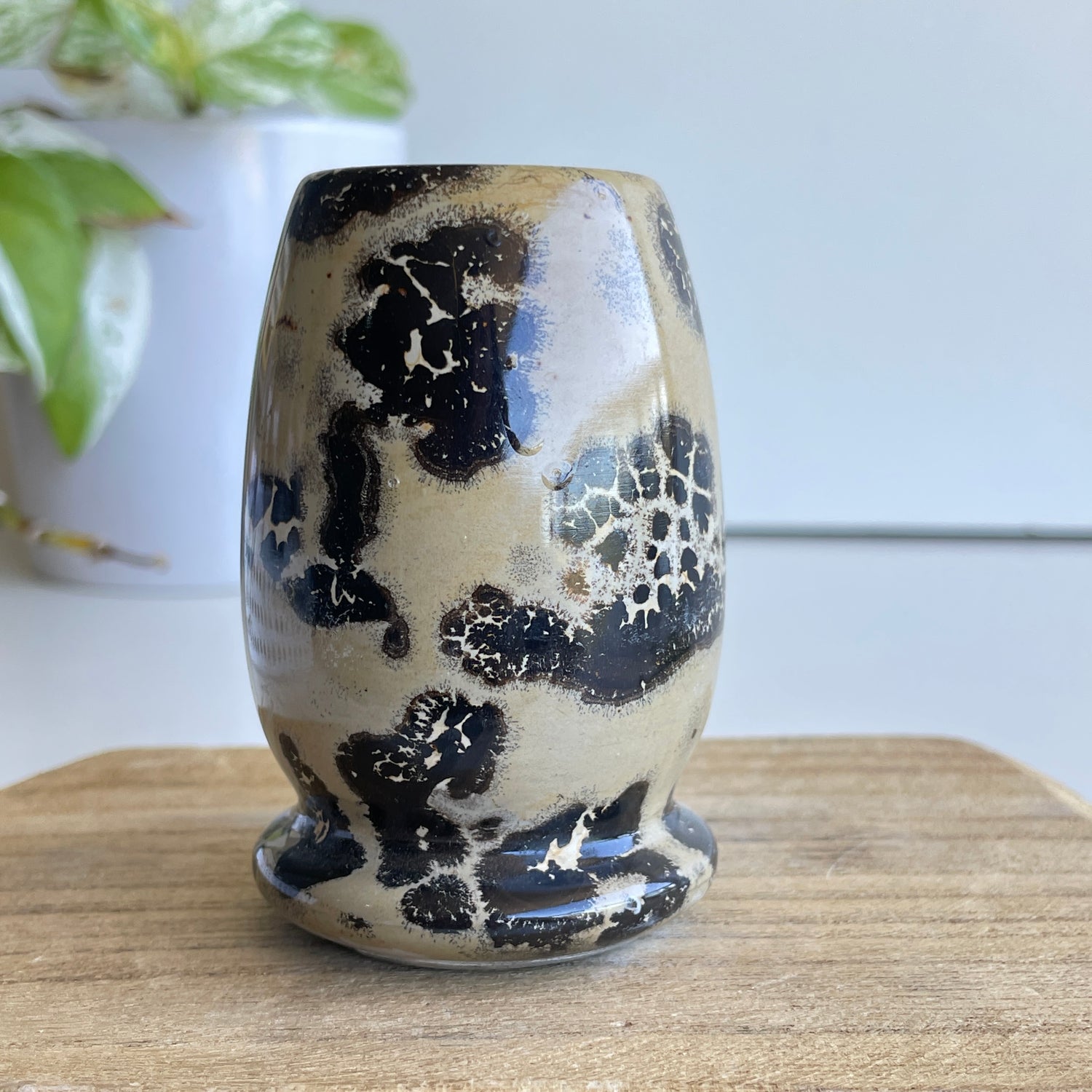 Picture Jasper Small Vase 7