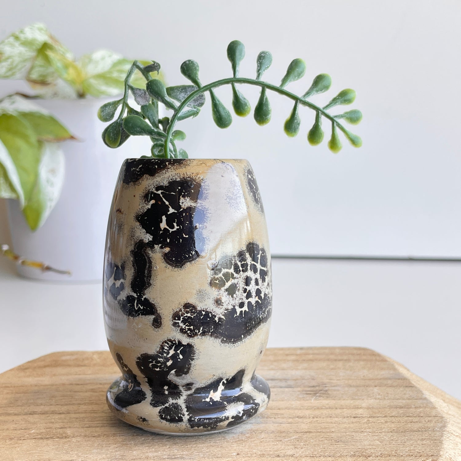 Picture Jasper Small Vase 7