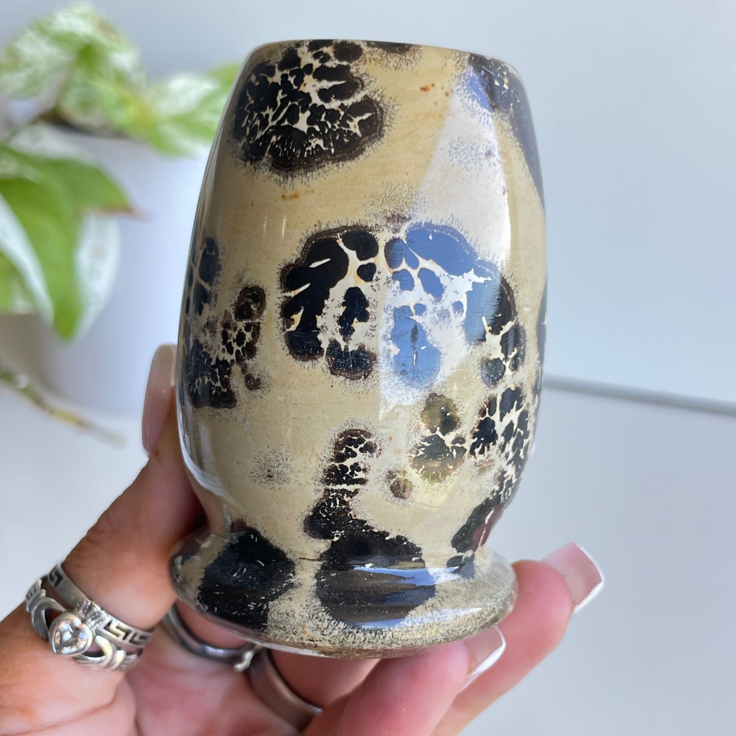 Picture Jasper Small Vase 7