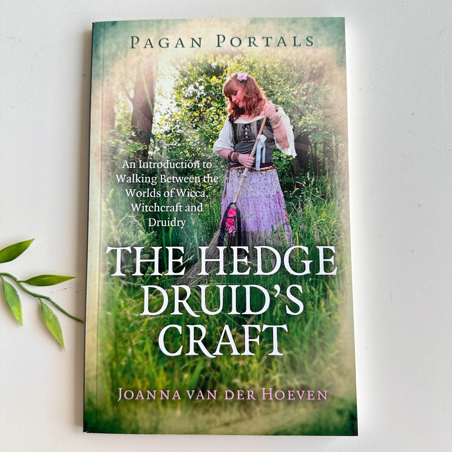 Pagan Portals The Hedge Druids Craft Joanna Van Der Hoeven