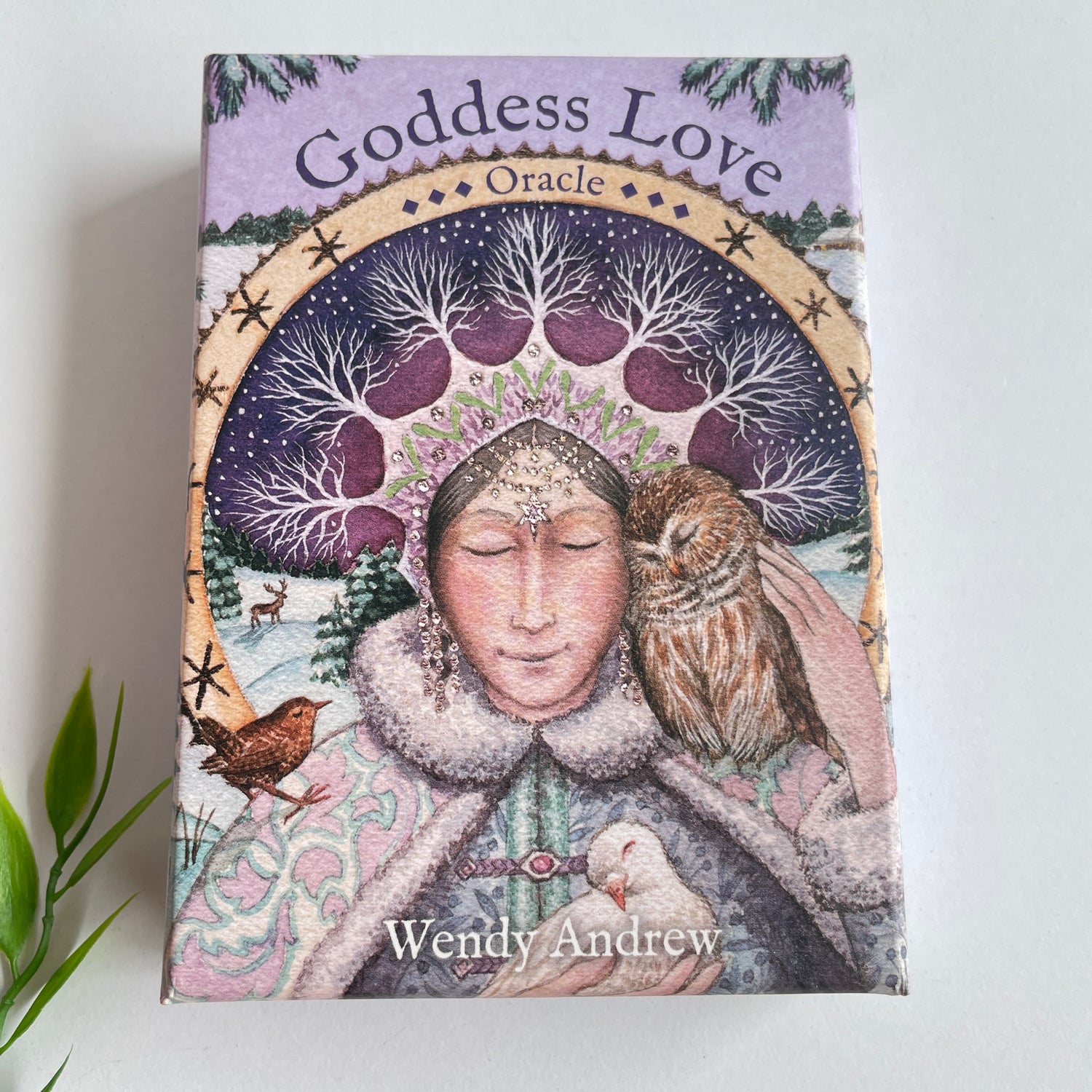 Goddess Love Oracle Cards Wendy Andrew