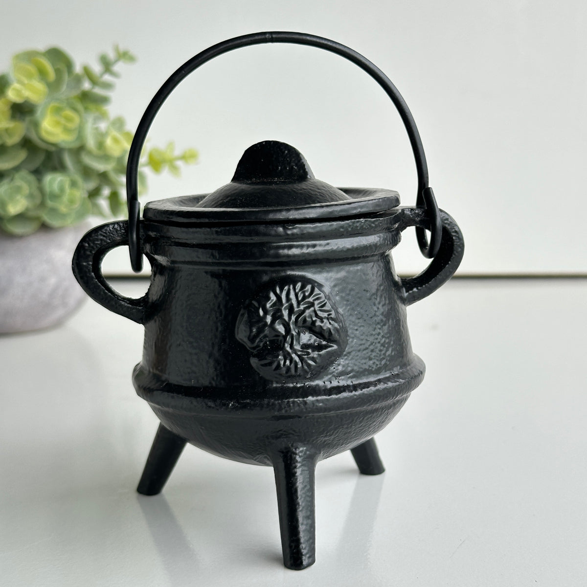 10cm Black Cauldron Tree AC55TOL