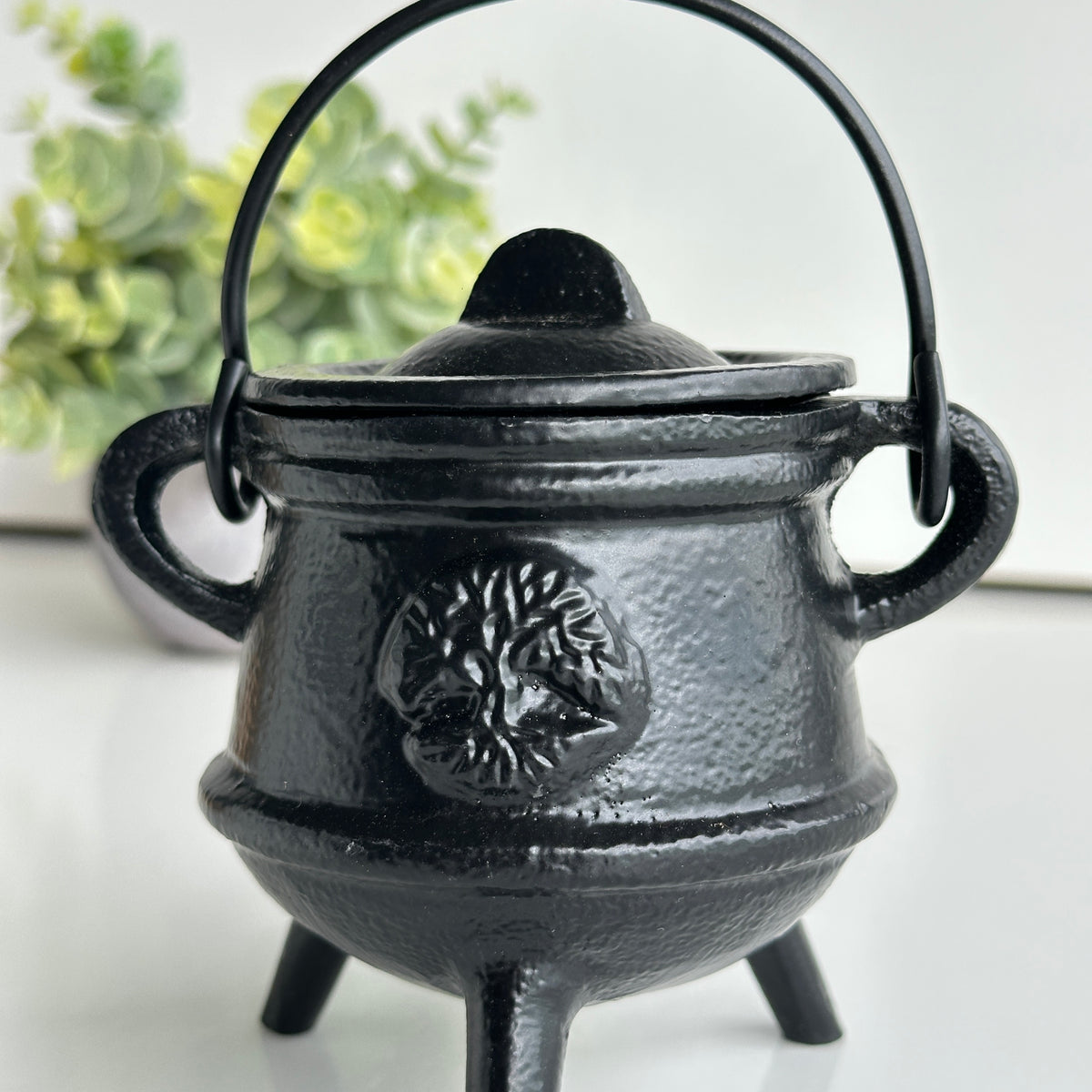 10cm Black Cauldron Tree AC55TOL