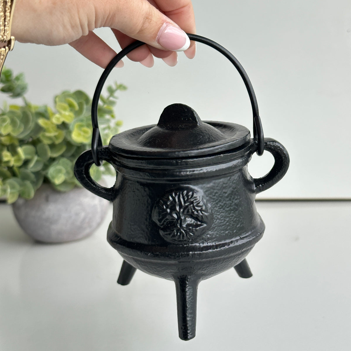 10cm Black Cauldron Tree AC55TOL
