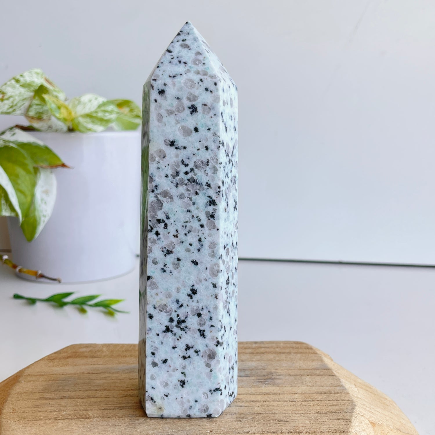 Kiwi Jasper Generator 16.2cm