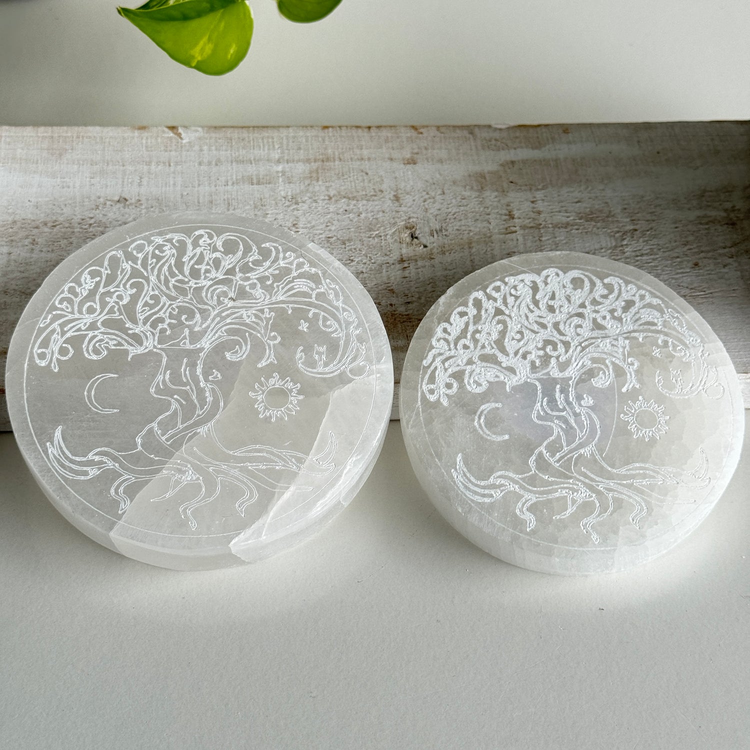 Selenite Round Tree Of Life Plate