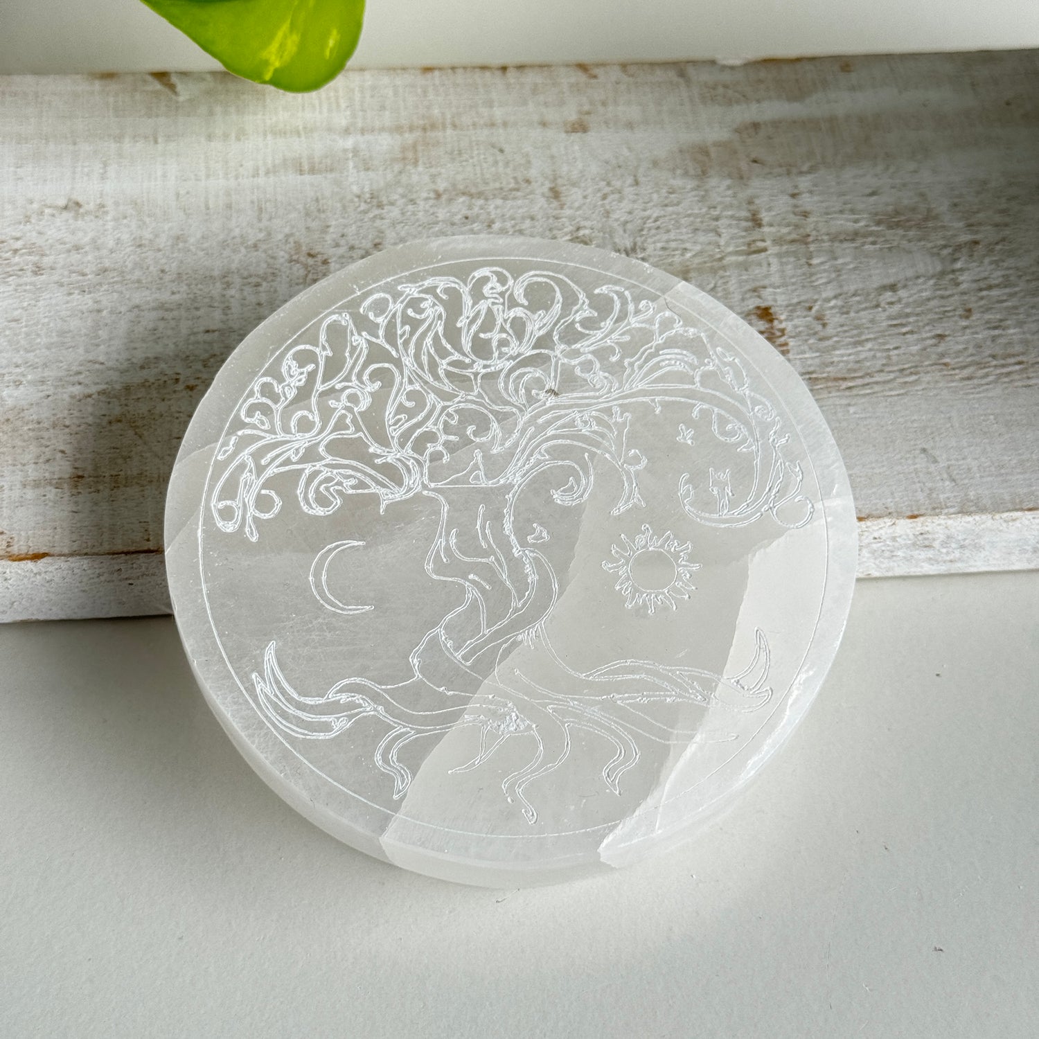 Selenite Round Tree Of Life Plate