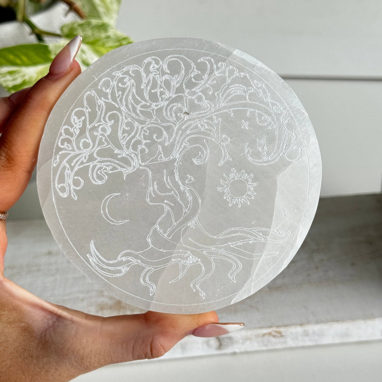 Selenite Round Tree Of Life Plate